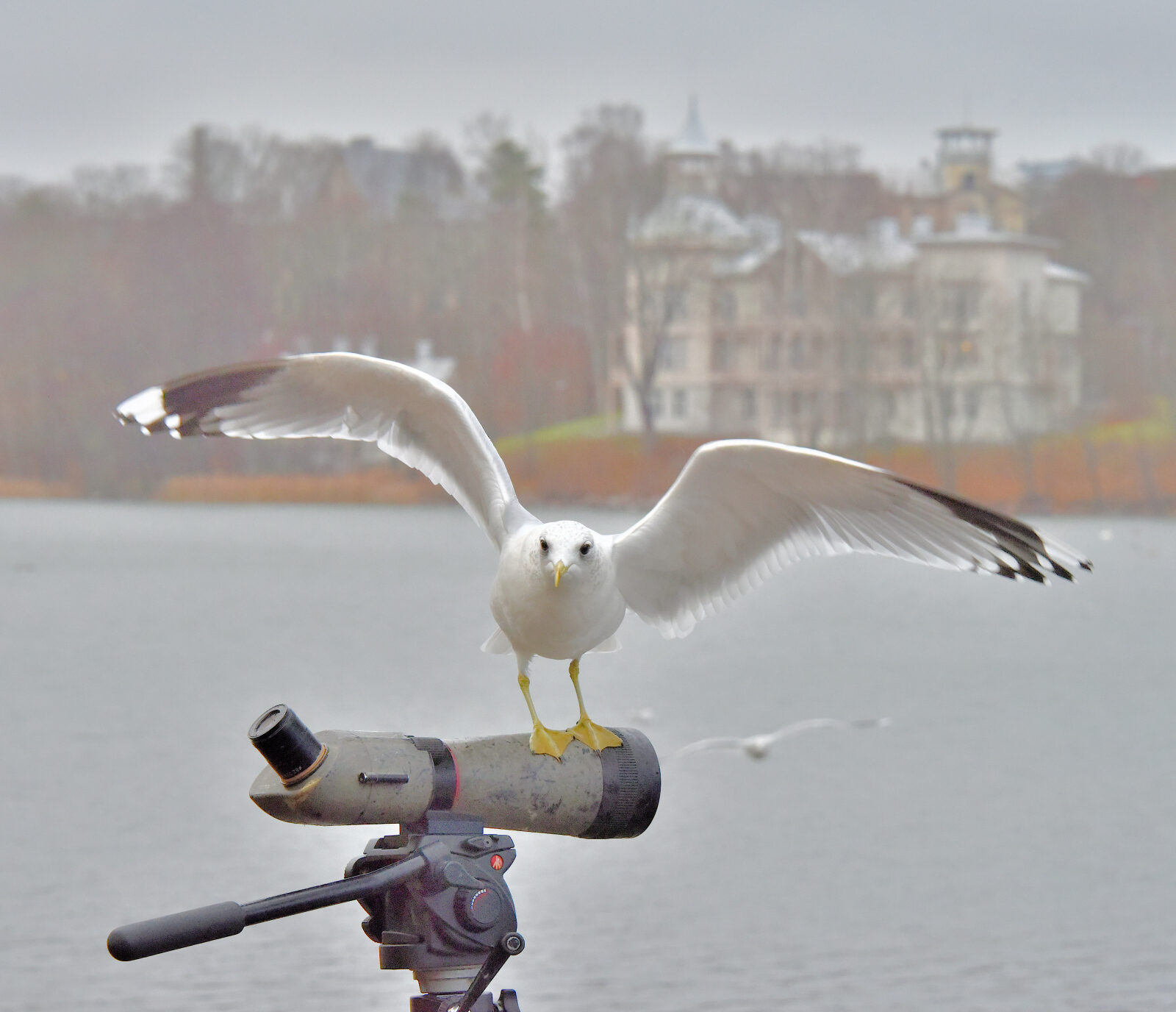 Valokuvaaja: Reijo Juurinen
