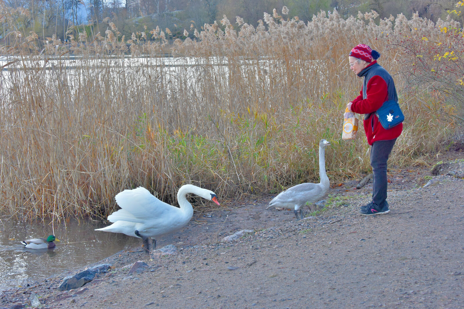 Valokuvaaja: Reijo Juurinen