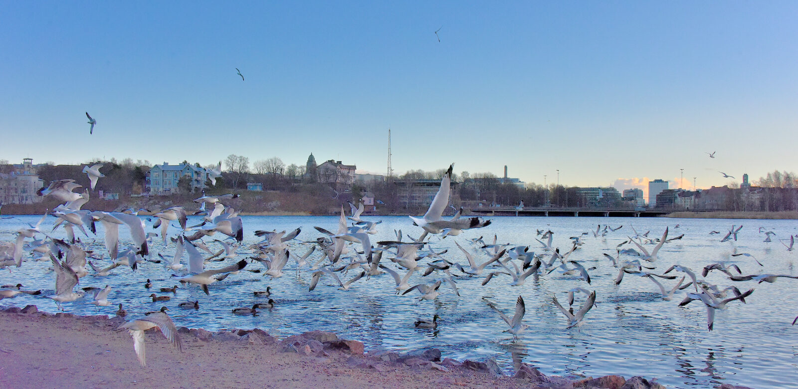 Valokuvaaja: Reijo Juurinen