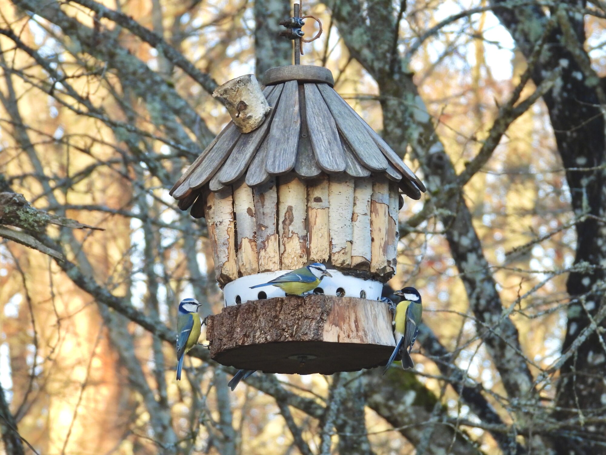 Valokuvaaja: Juhani Peltonen