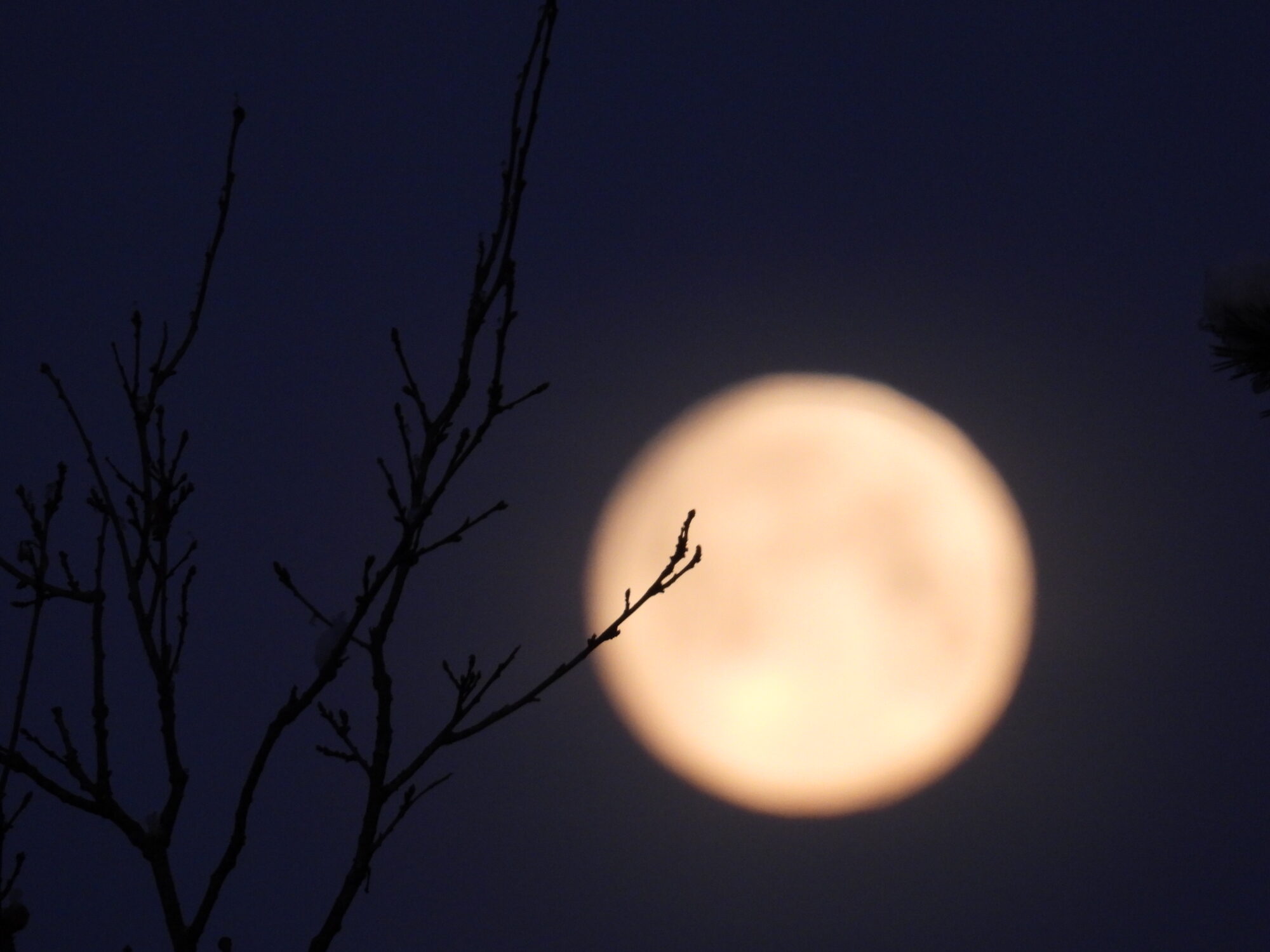 Valokuvaaja: Juhani Peltonen