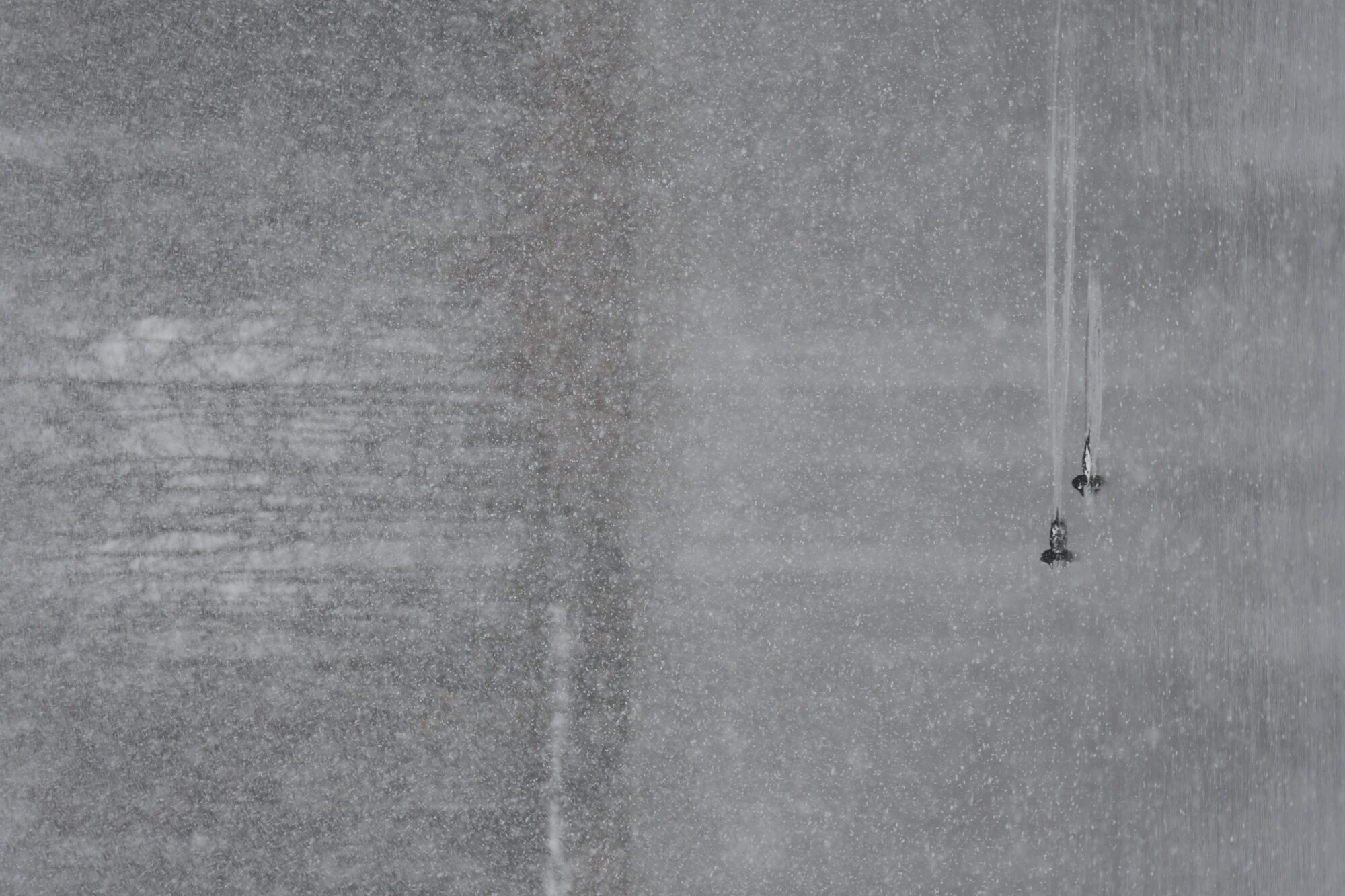 Valokuvaaja: Kati Kilpeläinen