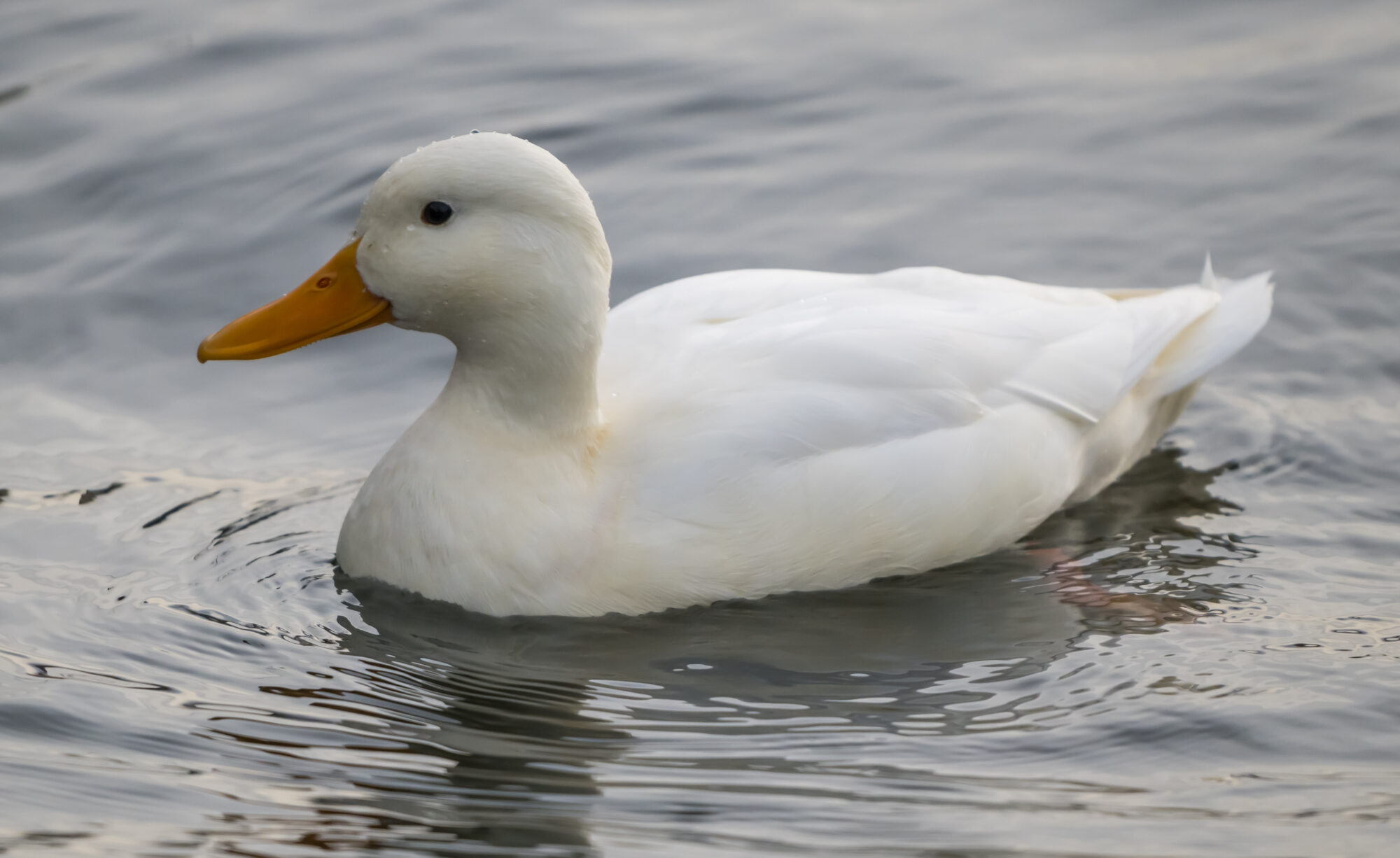 Valokuvaaja: Markku Saarinen