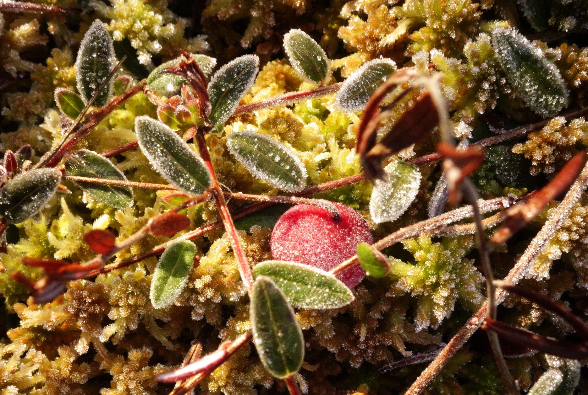 Valokuvaaja: Kaarina Heiskanen