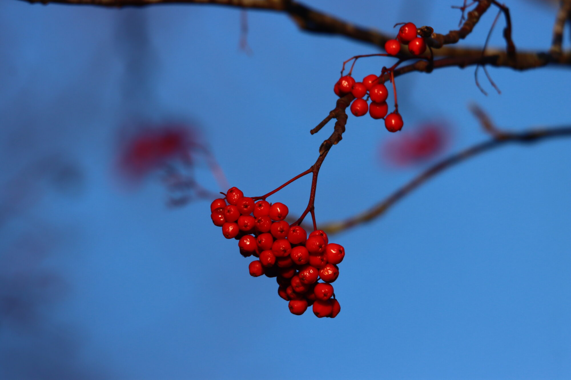 Valokuvaaja: Irja Lehtinen