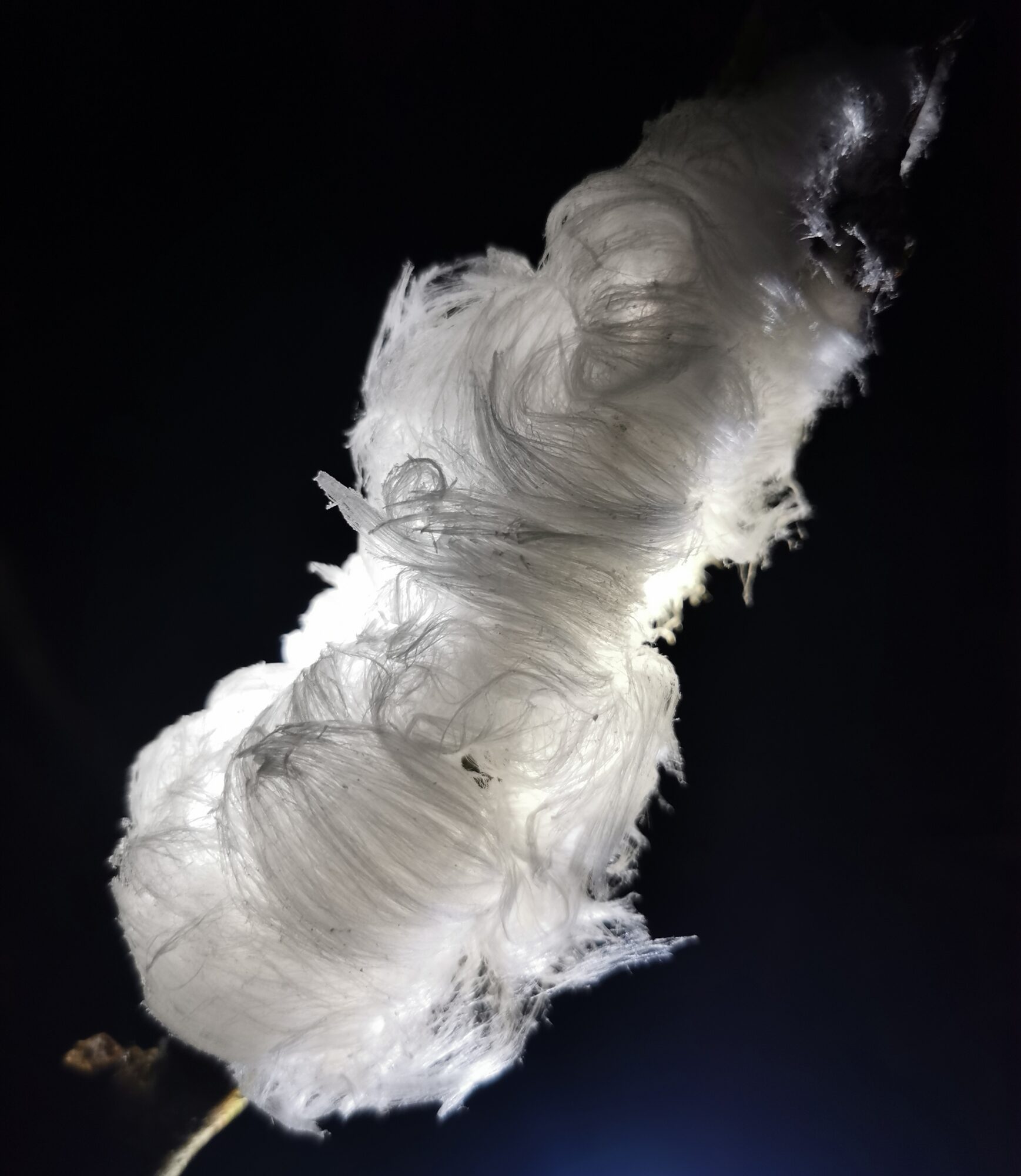 Valokuvaaja: Satu Kuningas