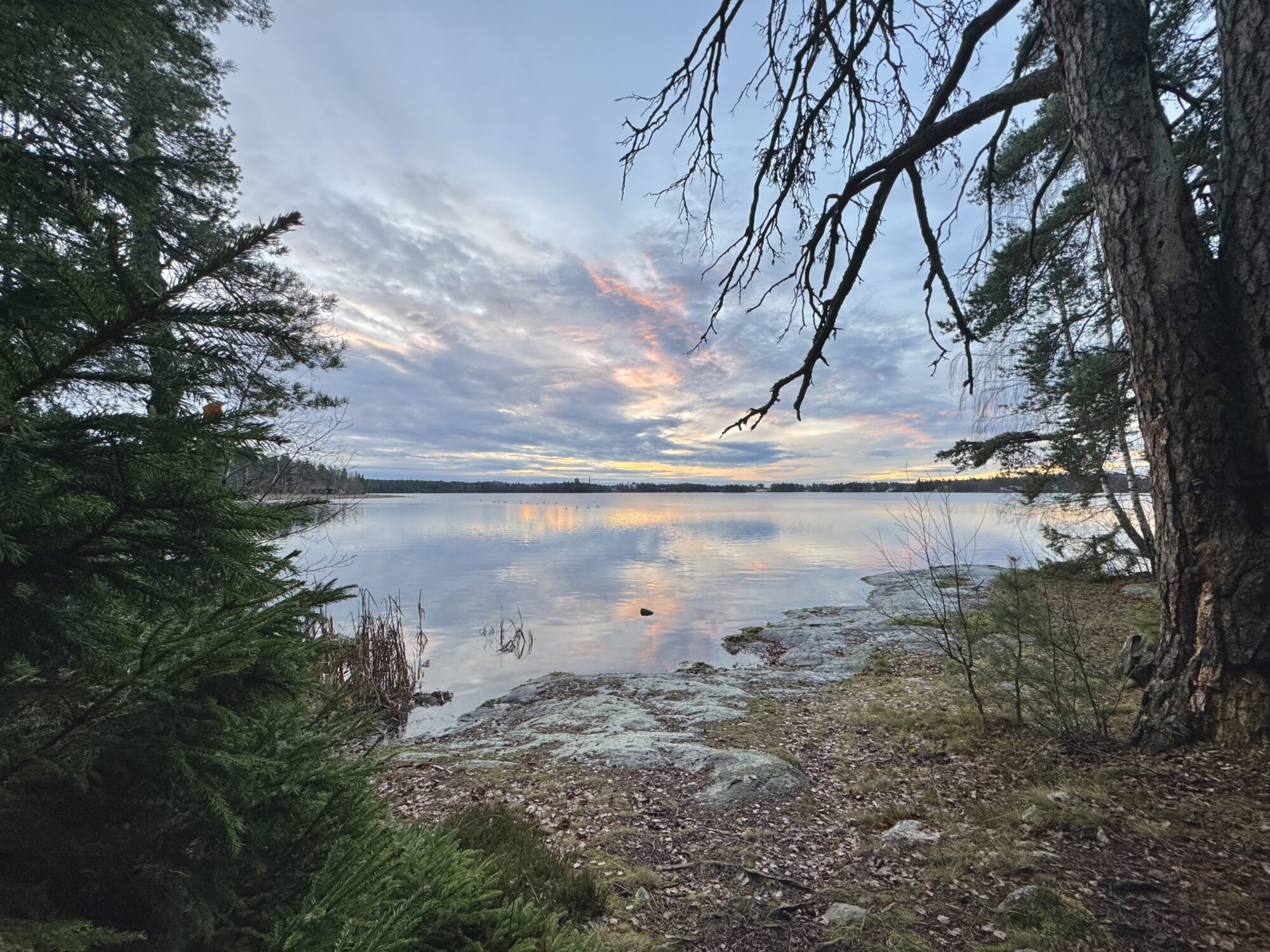 Valokuvaaja: Juhani Peltonen Valokuvaaja: Juhani Peltonen