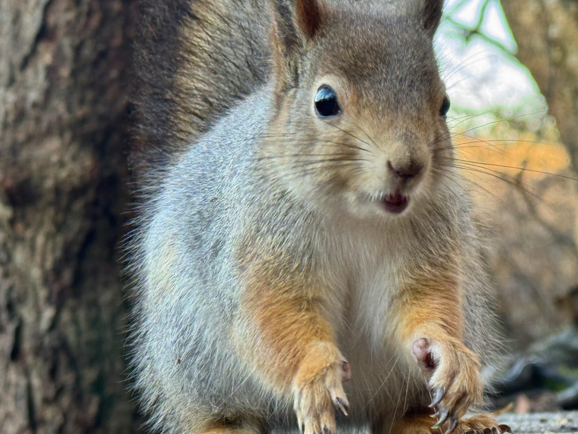 Valokuvaaja: Juhani Peltonen