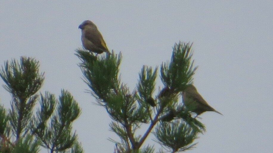 Valokuvaaja: Risto Kangassalo
