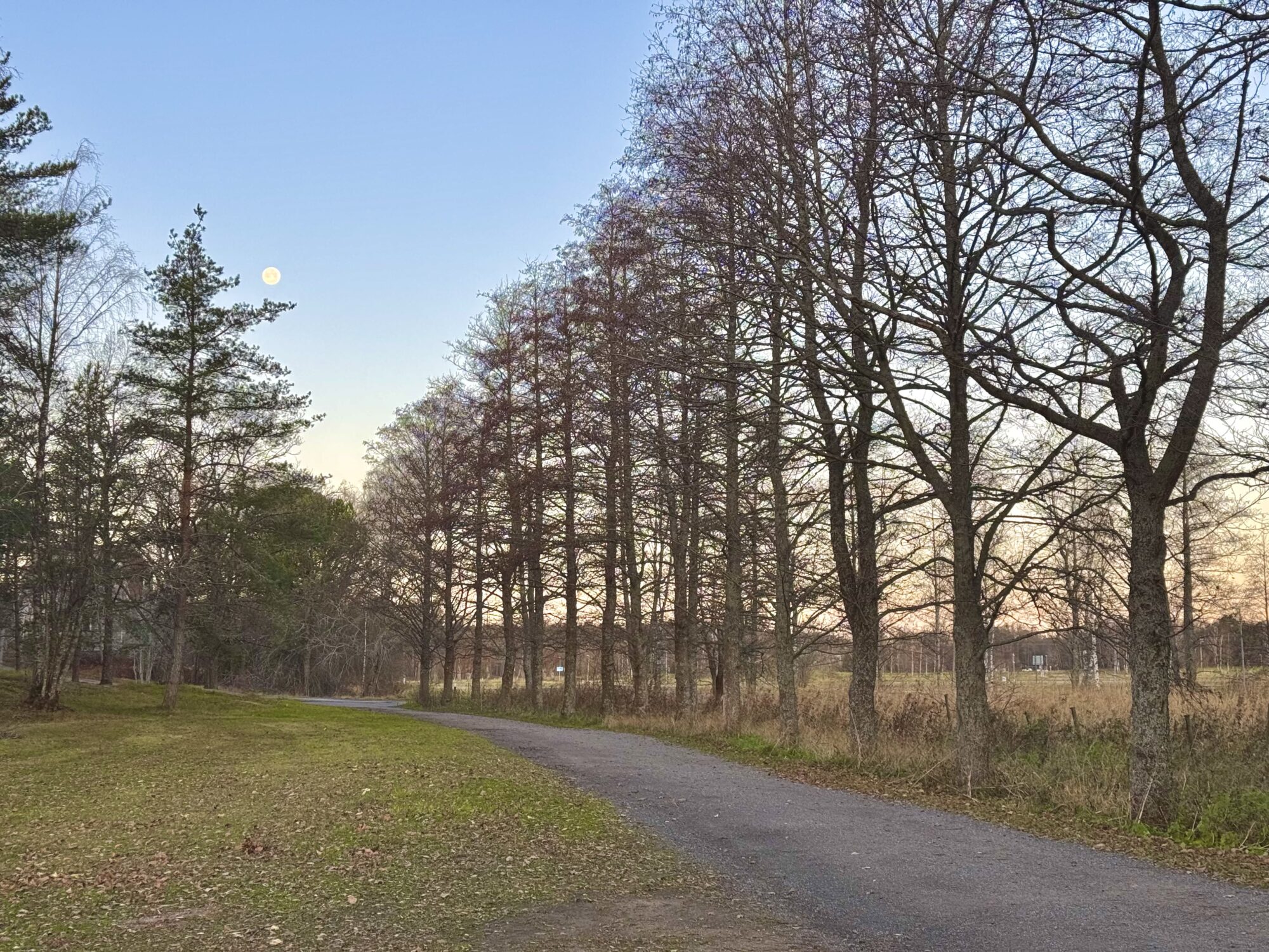 Valokuvaaja: Juhani Peltonen