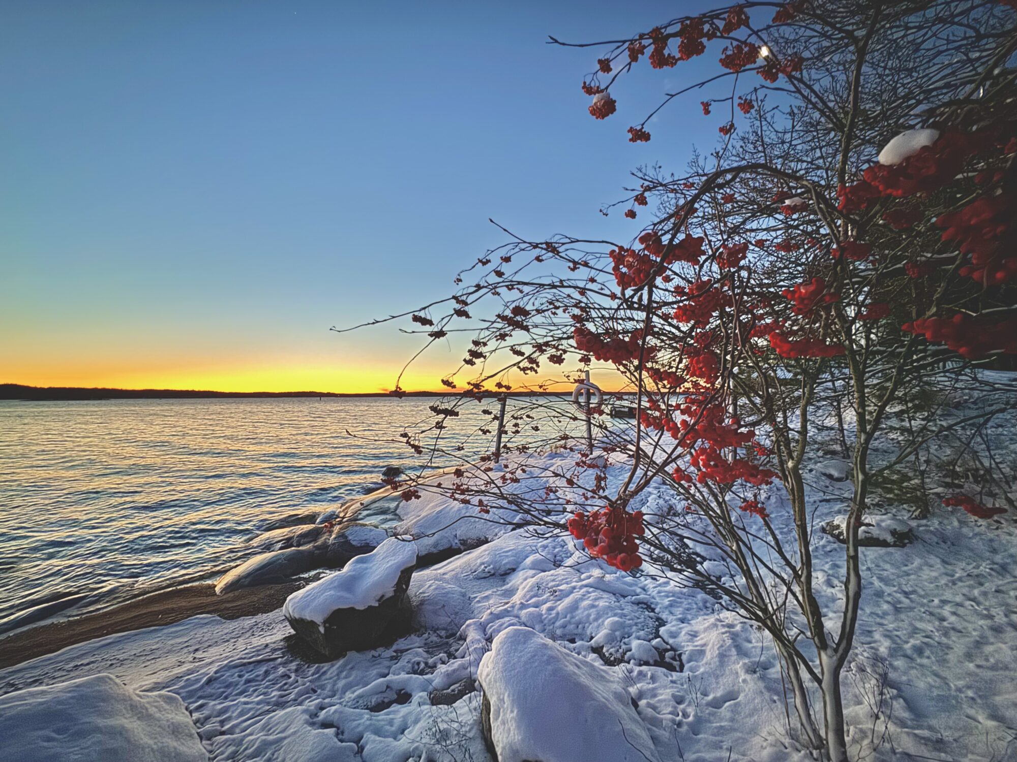 Valokuvaaja: Juhani Peltonen
