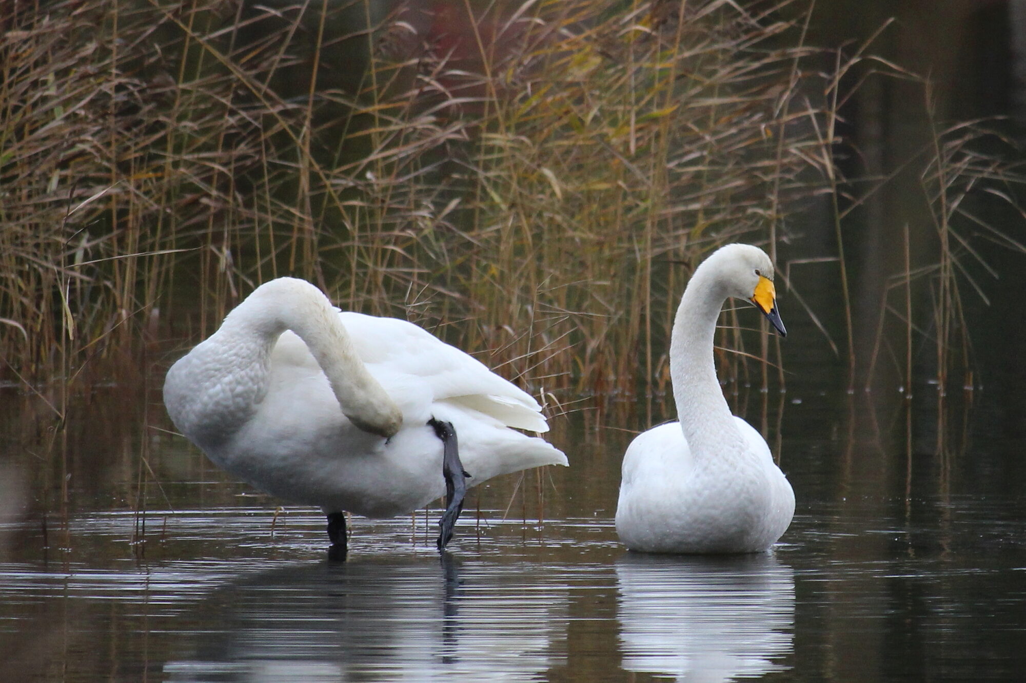 Valokuvaaja: Kirsi-Marja Joenpolvi