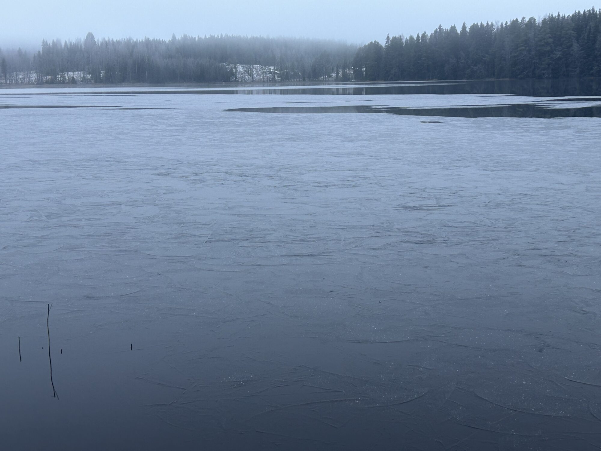 Valokuvaaja: Tapio Keinonen