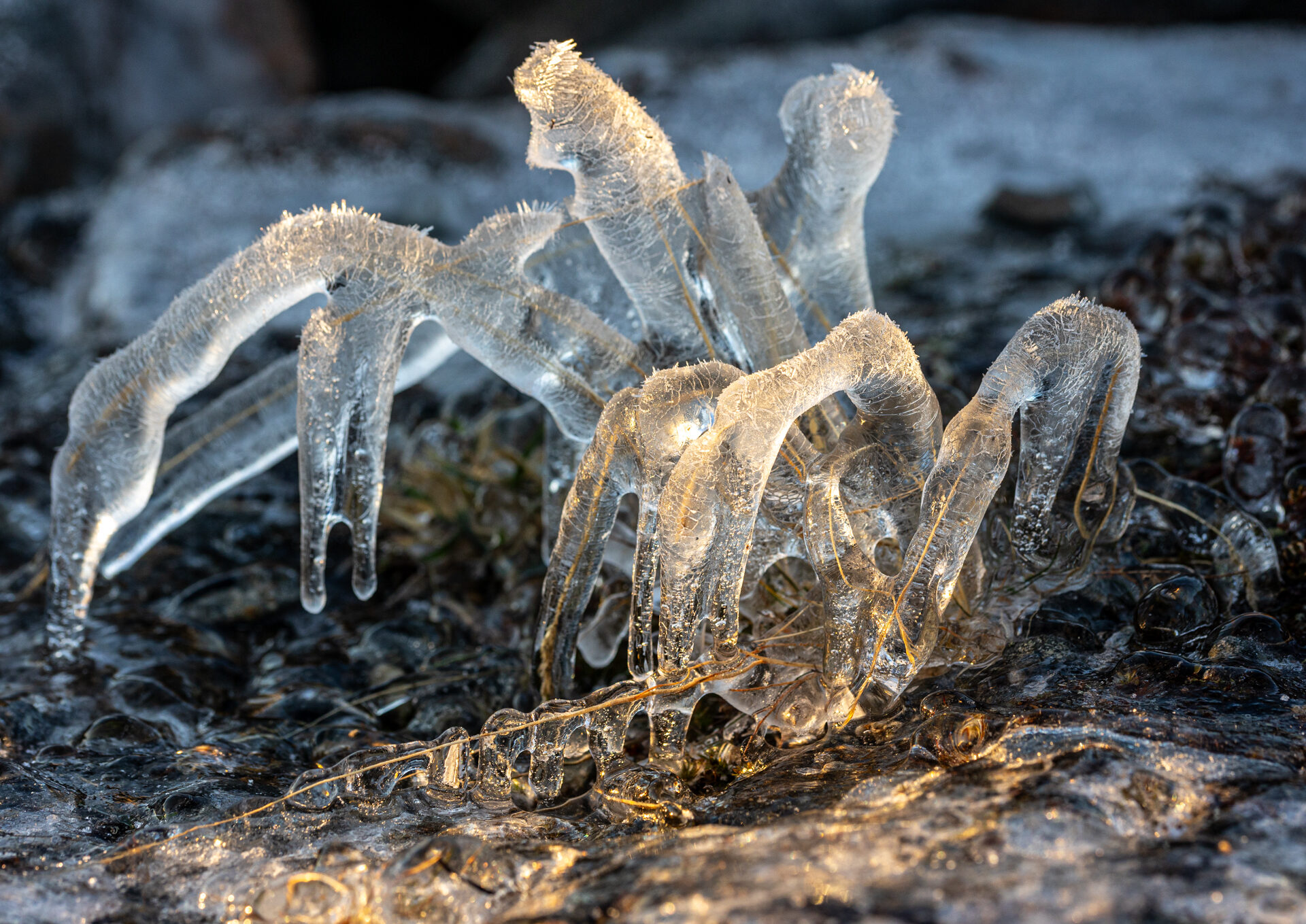 Valokuvaaja: Katri Niskanen