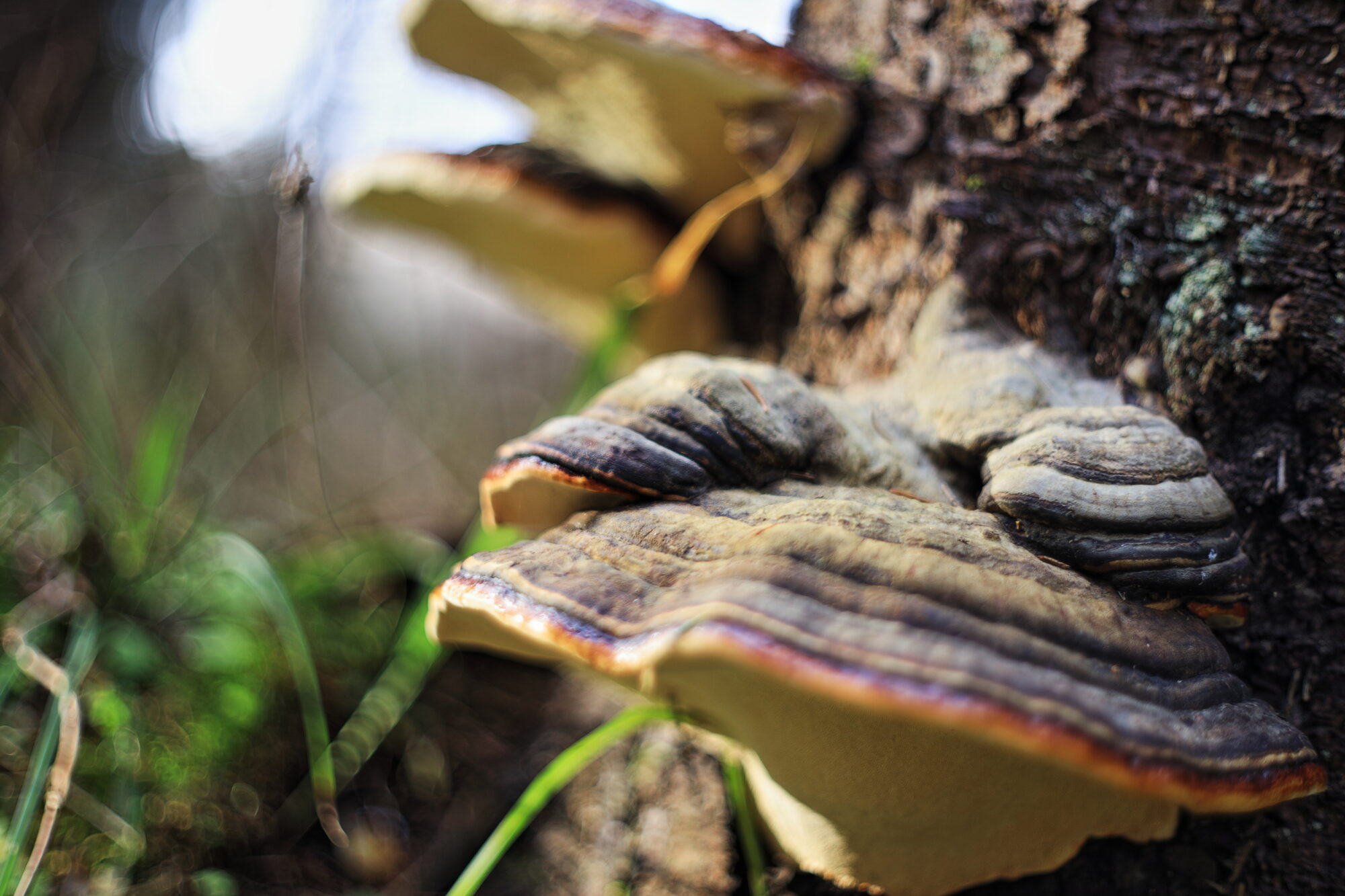 Valokuvaaja: Pasi Lähde