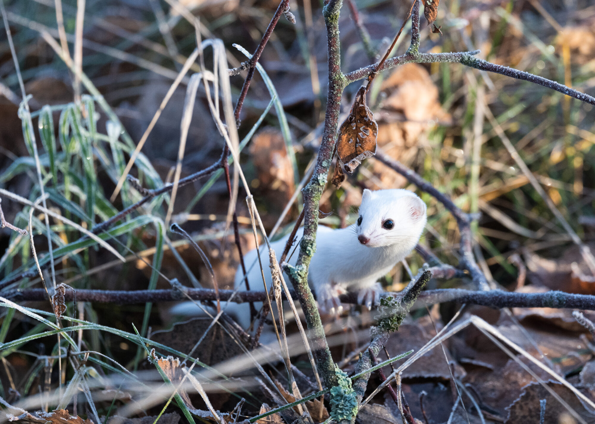 Valokuvaaja: Tuomo Salminen