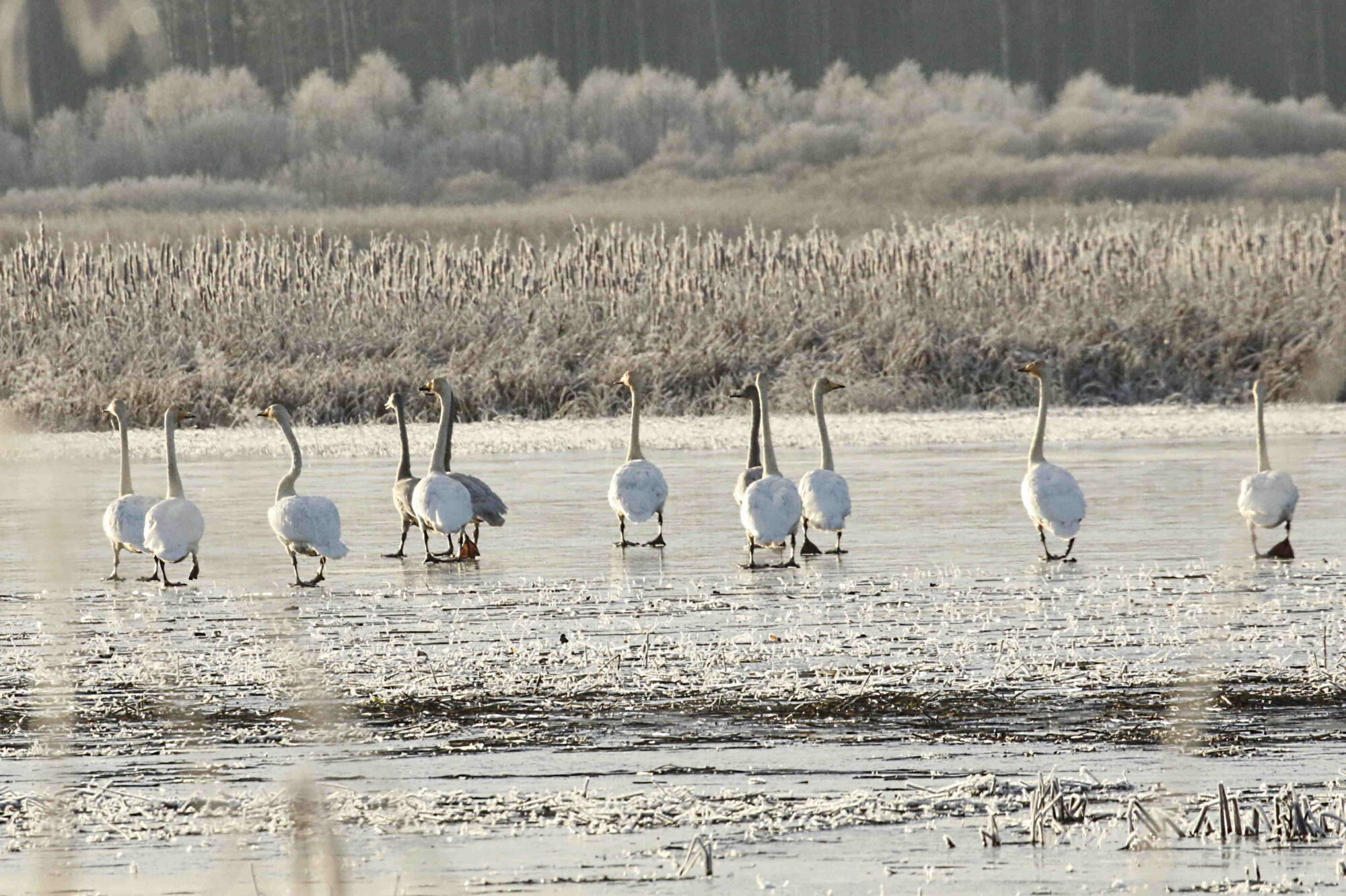 Valokuvaaja: Antero Tykkyläinen