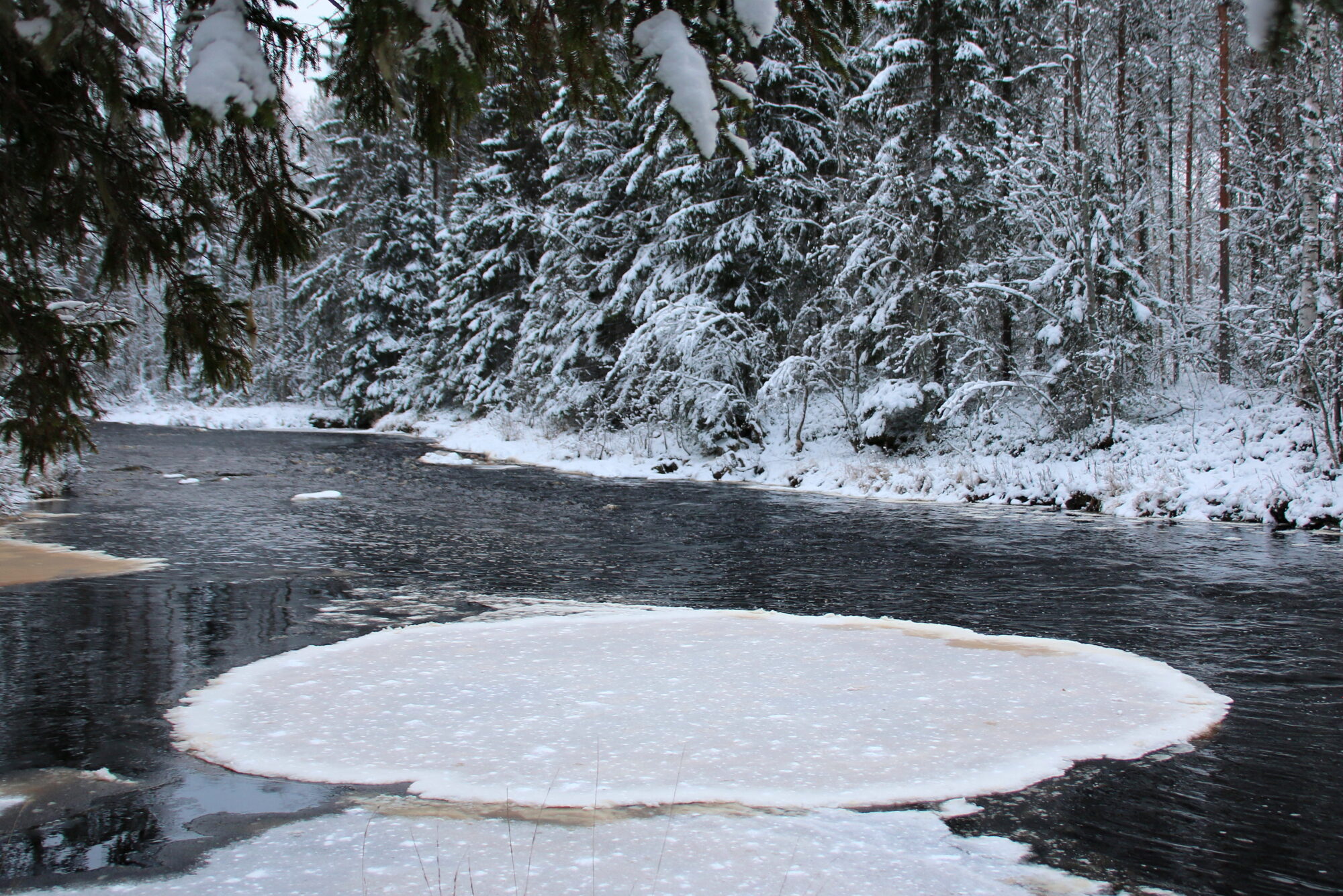 Valokuvaaja: Tuukka Pahtamaa