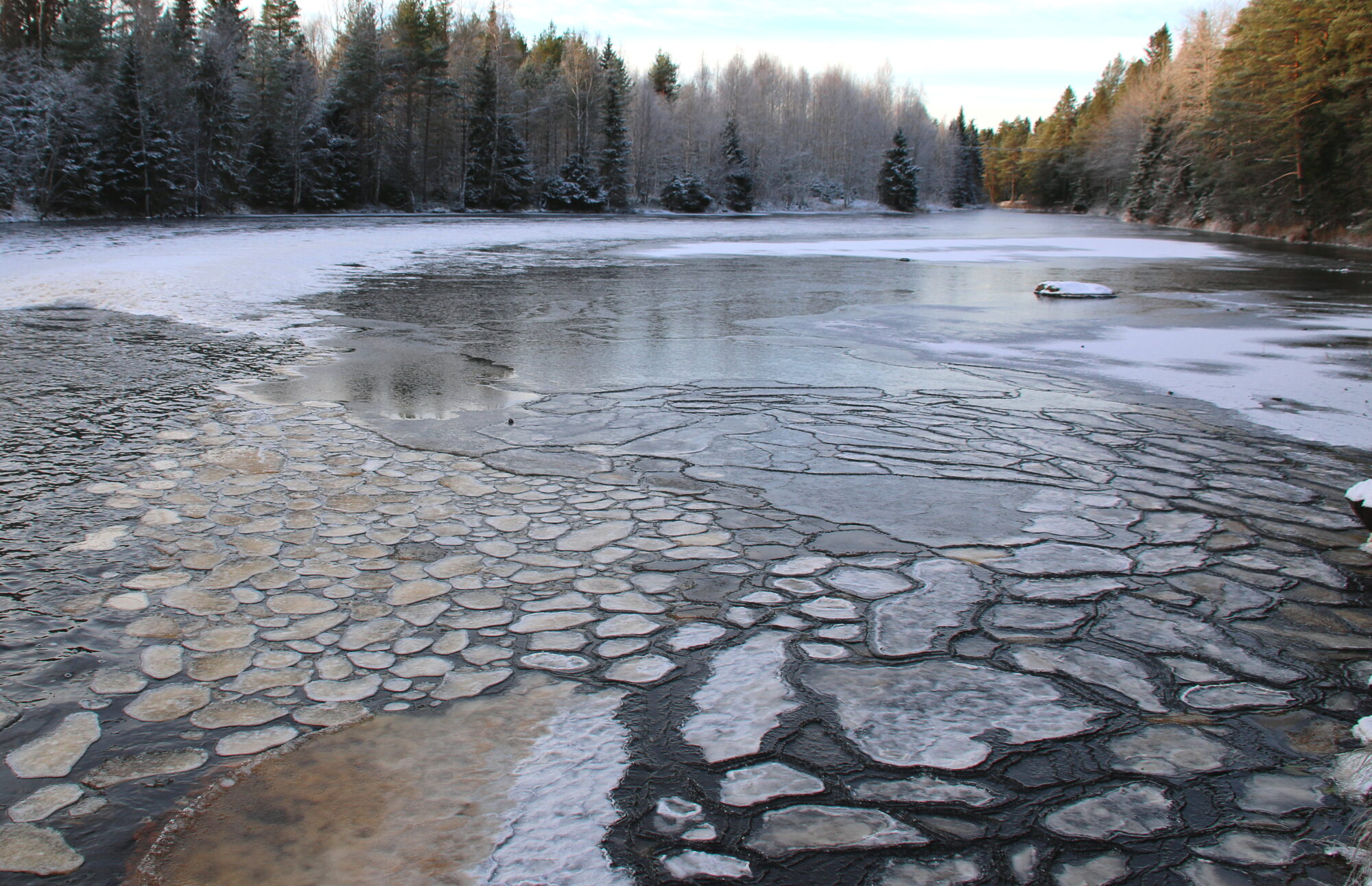 Valokuvaaja: Tuukka Pahtamaa