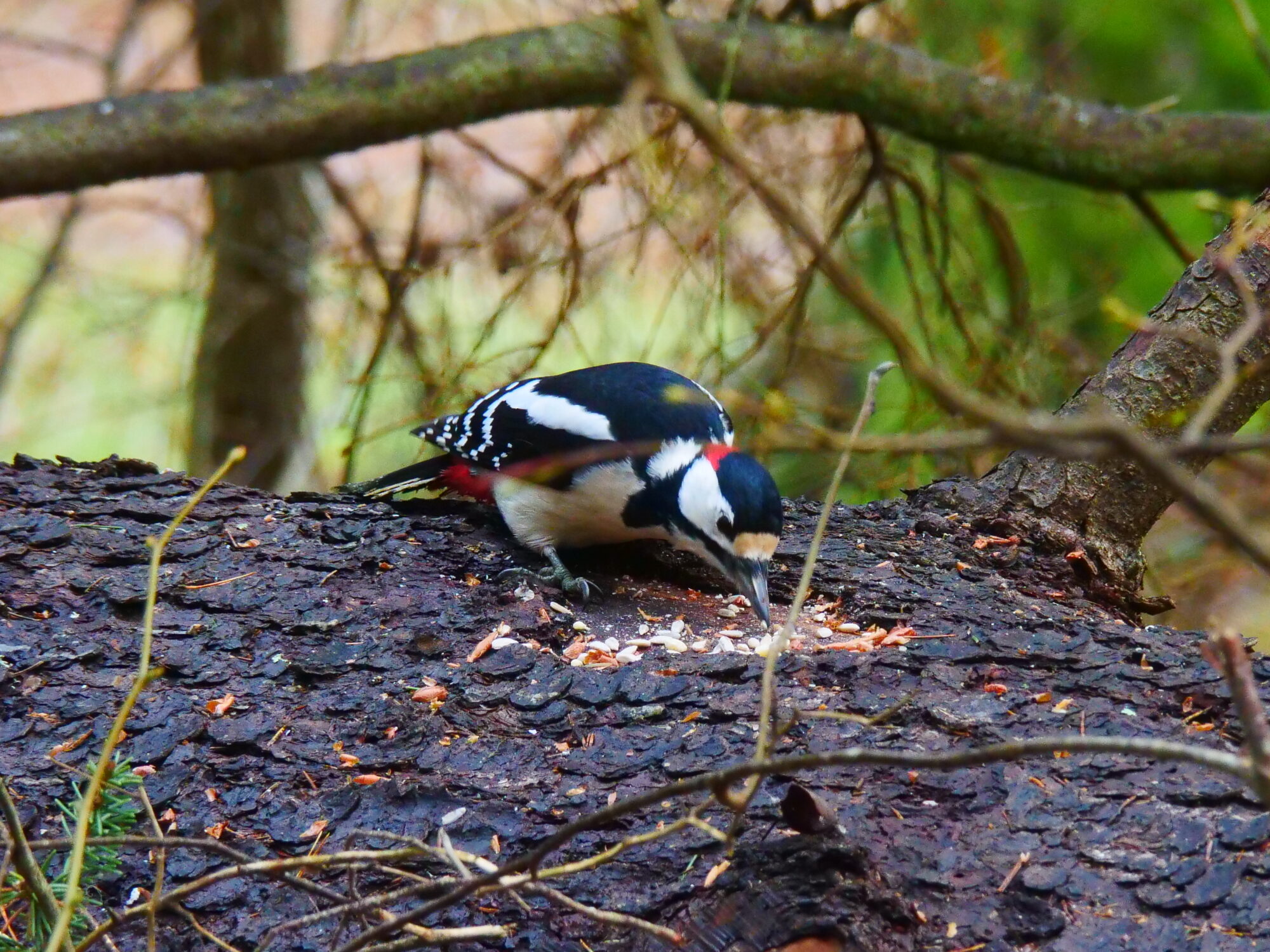 Valokuvaaja: Riitta Marjamäki