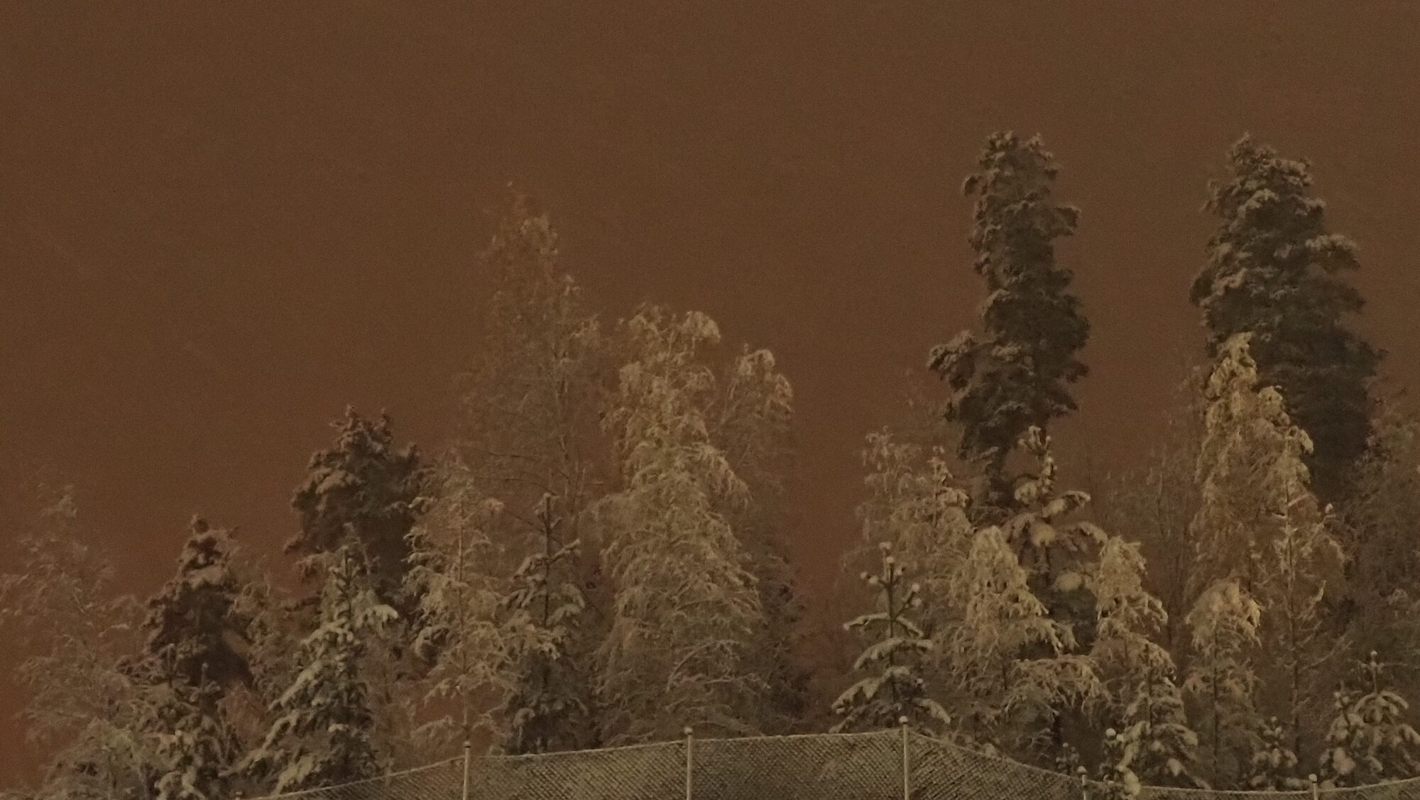 Valokuvaaja: Arja Valtonen Valokuvaaja: Arja Valtonen