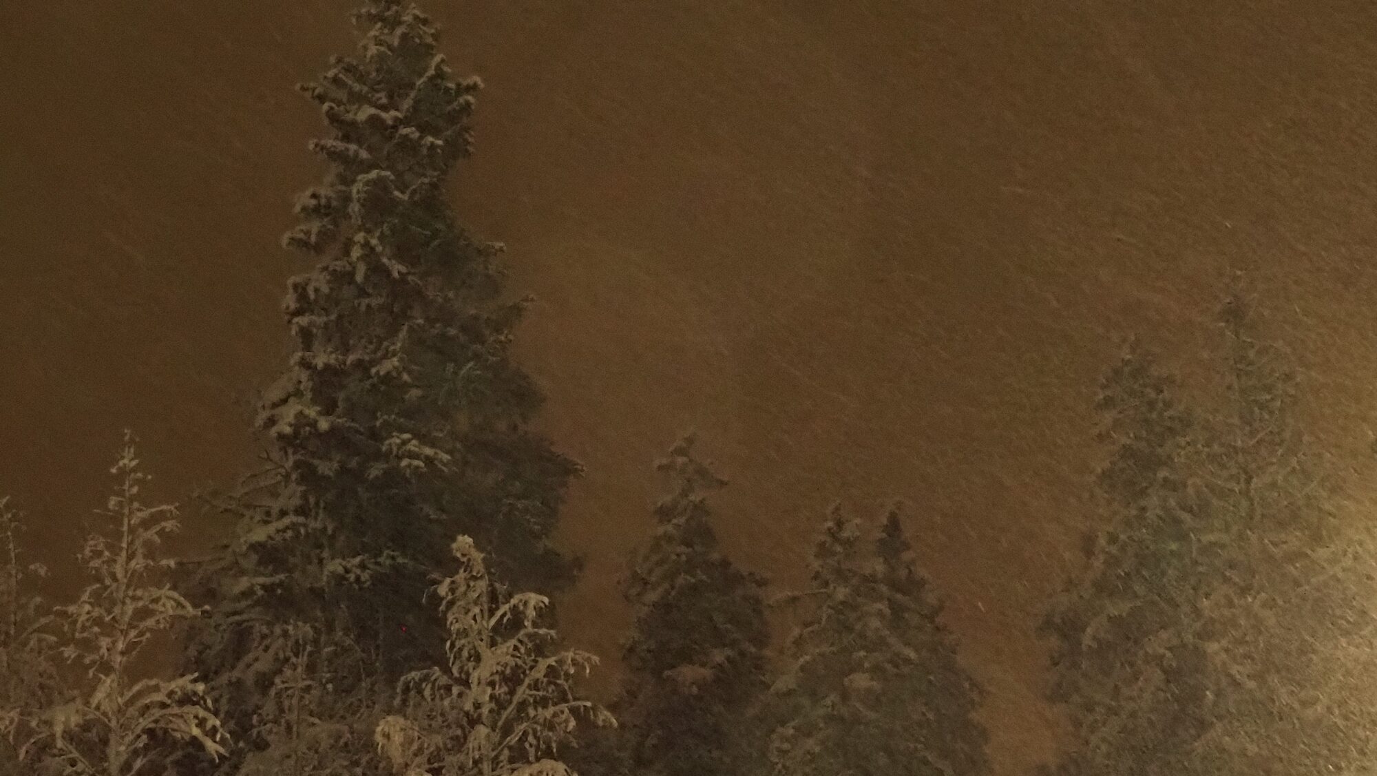 Valokuvaaja: Arja Valtonen