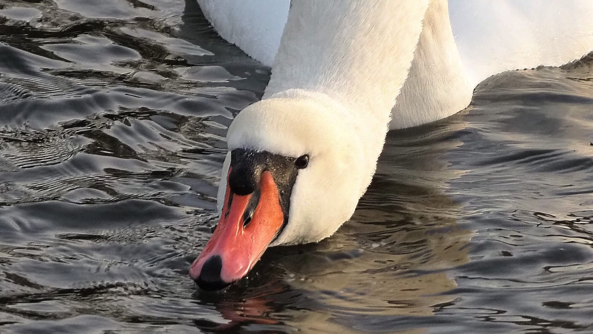 Valokuvaaja: Arja Valtonen