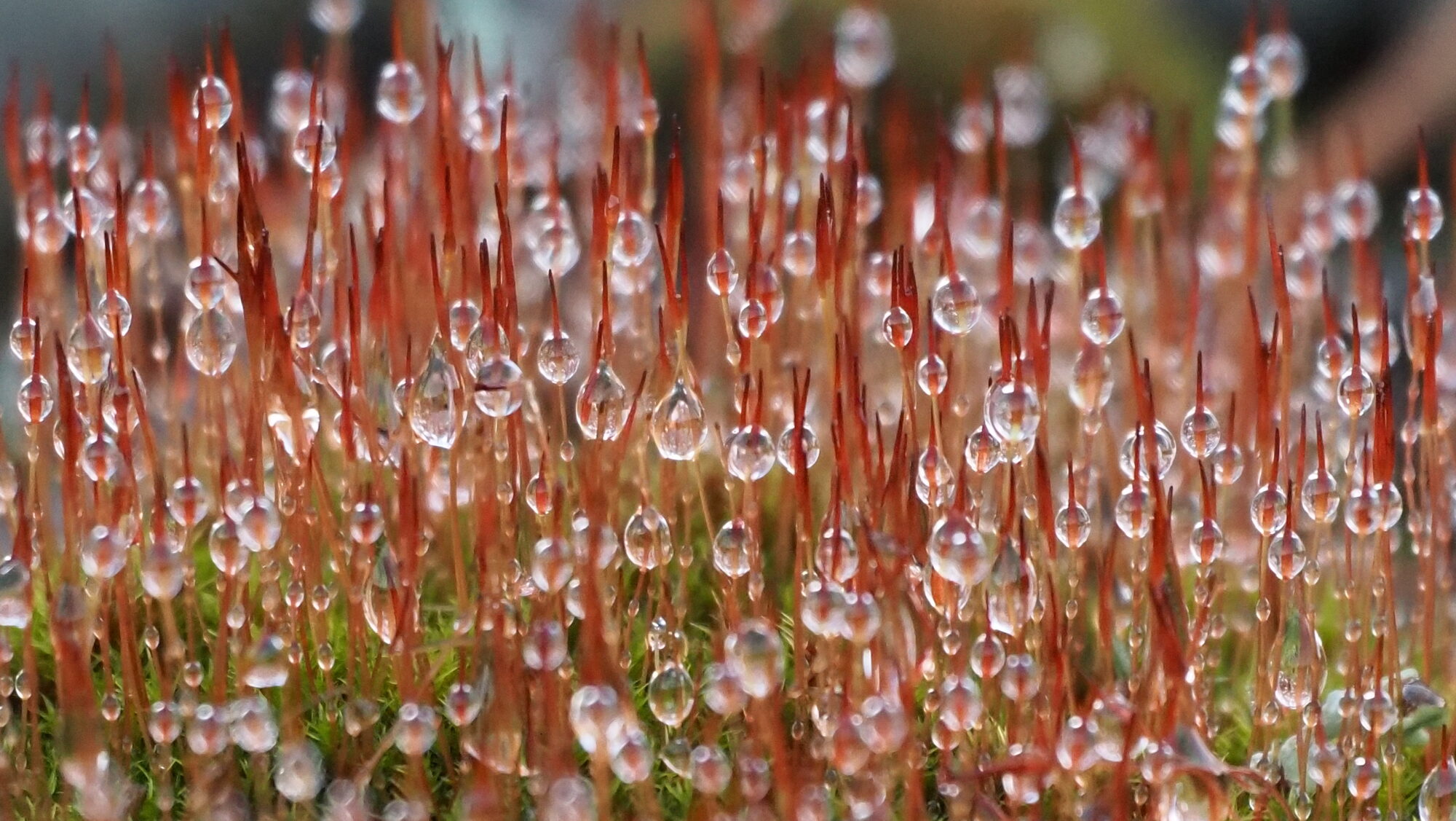 Valokuvaaja: Arja Valtonen