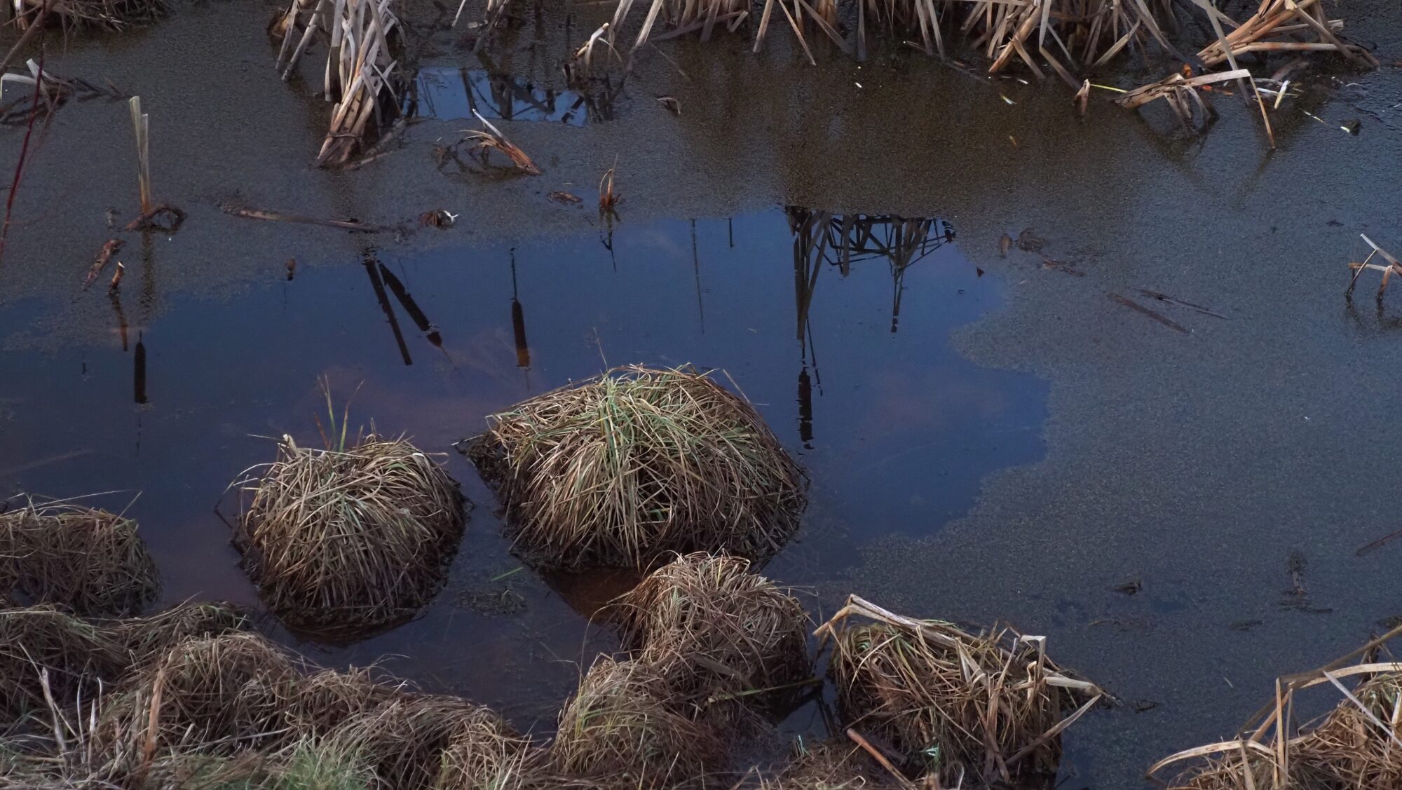 Valokuvaaja: Arja Valtonen Valokuvaaja: Arja Valtonen