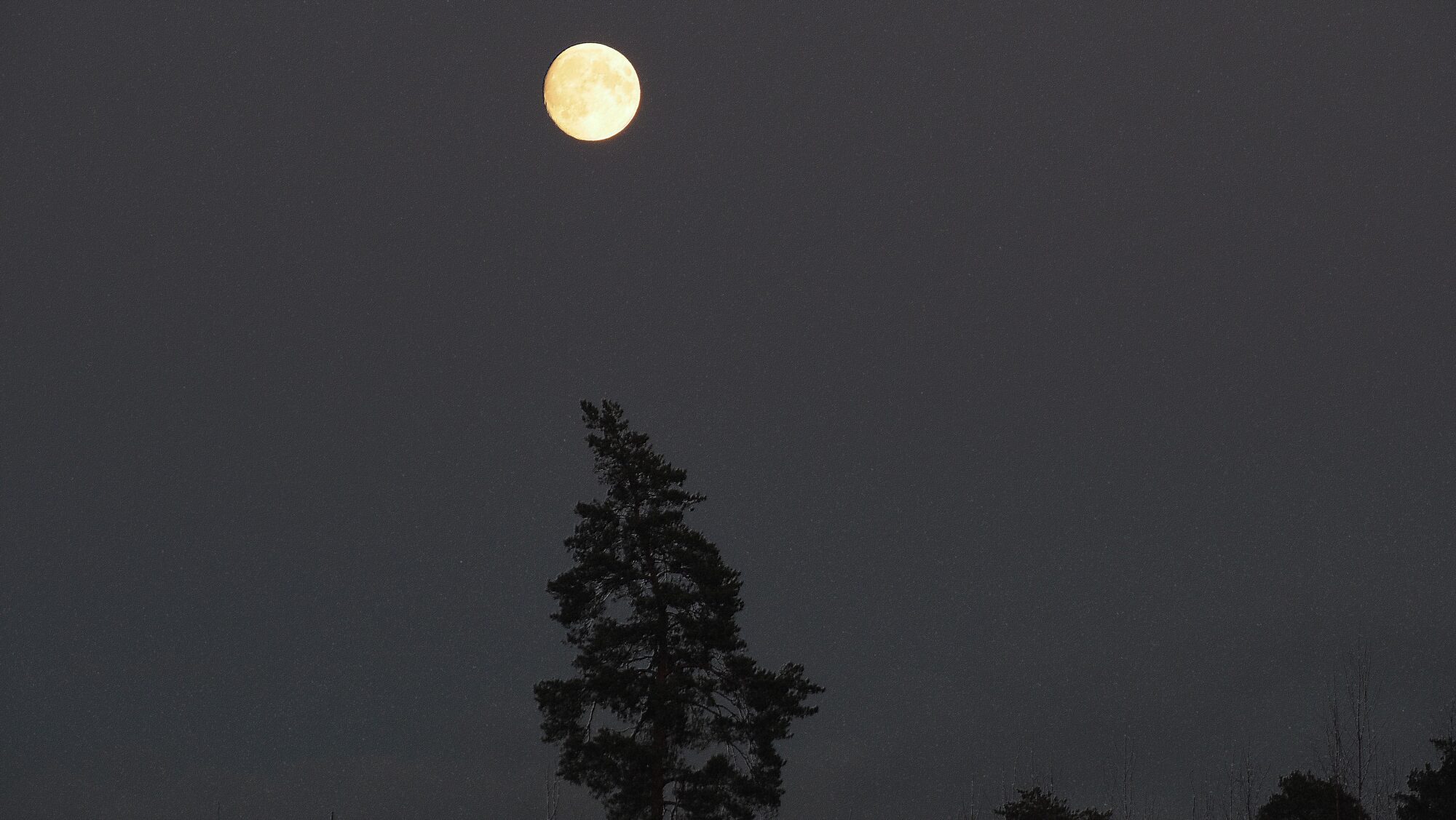 Valokuvaaja: Arja Valtonen