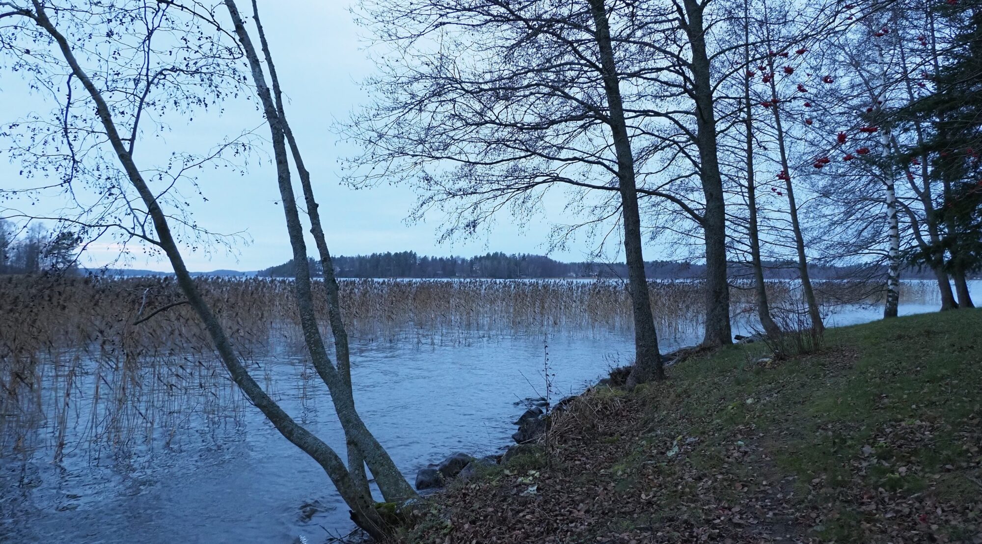 Valokuvaaja: Arja Valtonen Valokuvaaja: Arja Valtonen