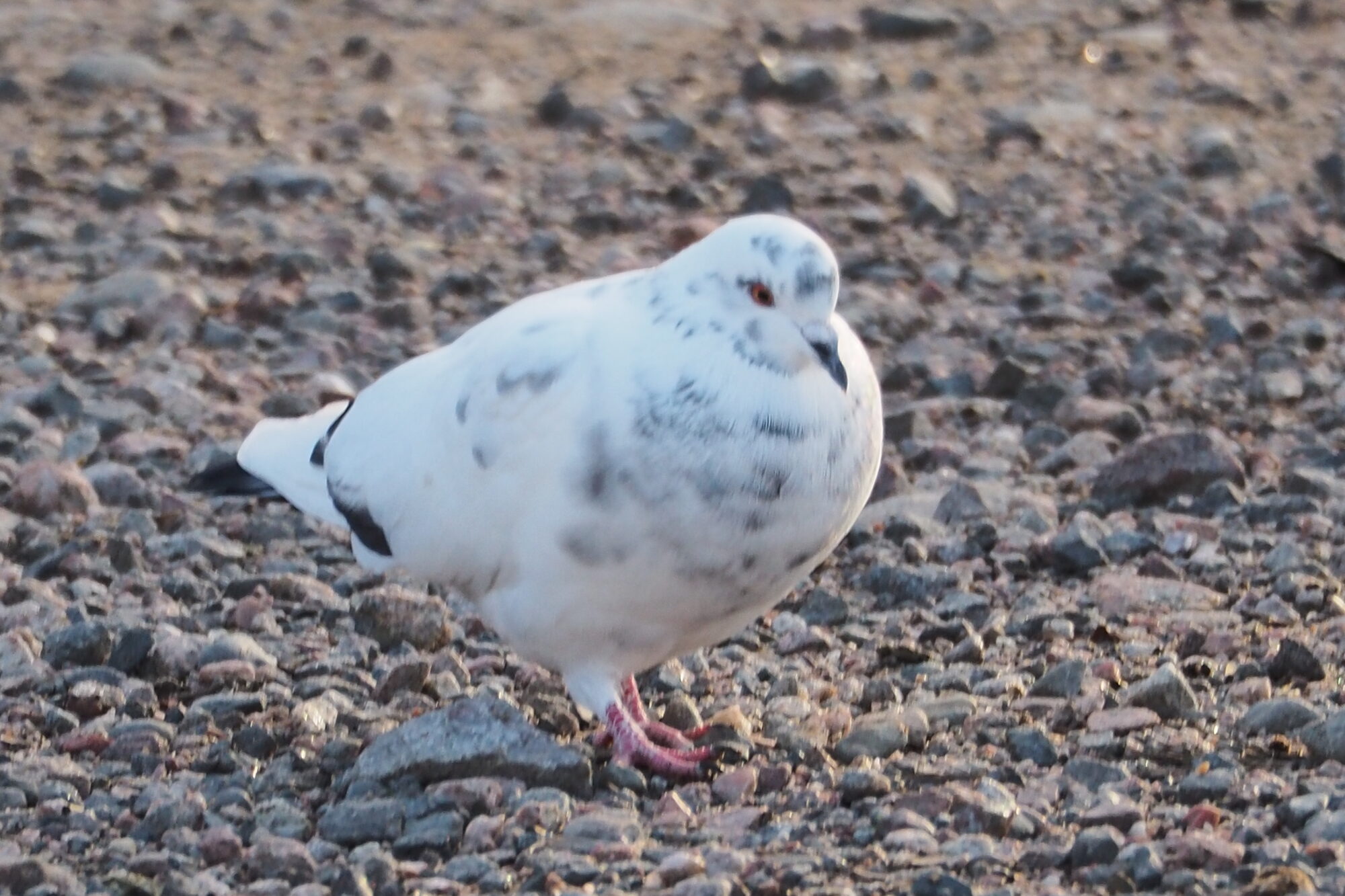 Valokuvaaja: Martti Valtonen