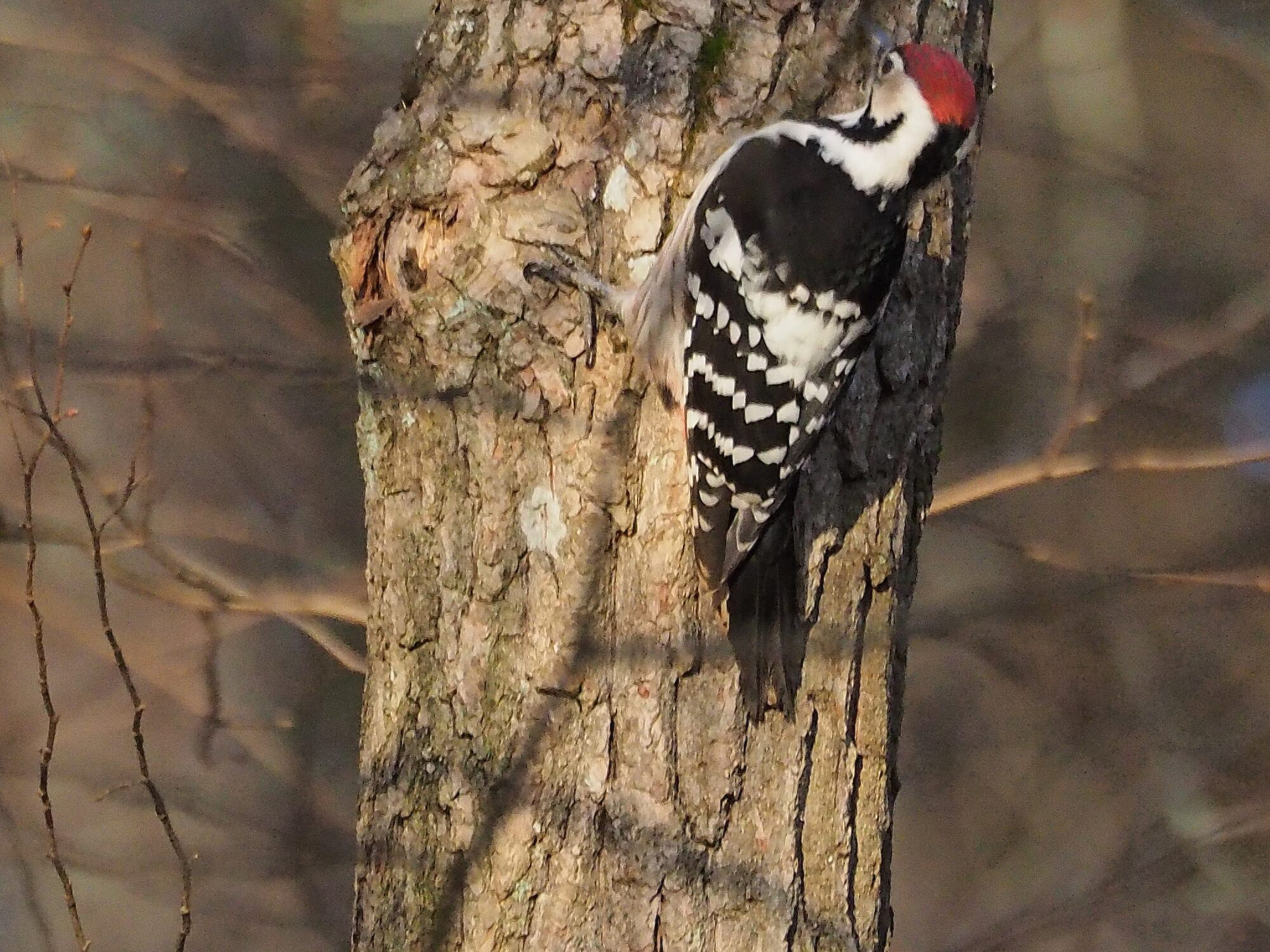 Valokuvaaja: Martti Valtonen