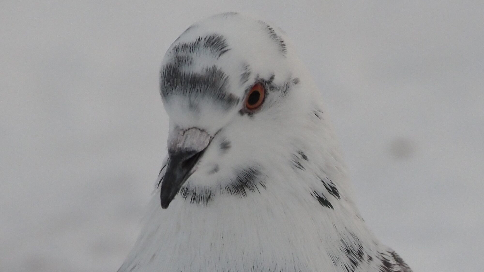 Valokuvaaja: Arja Valtonen