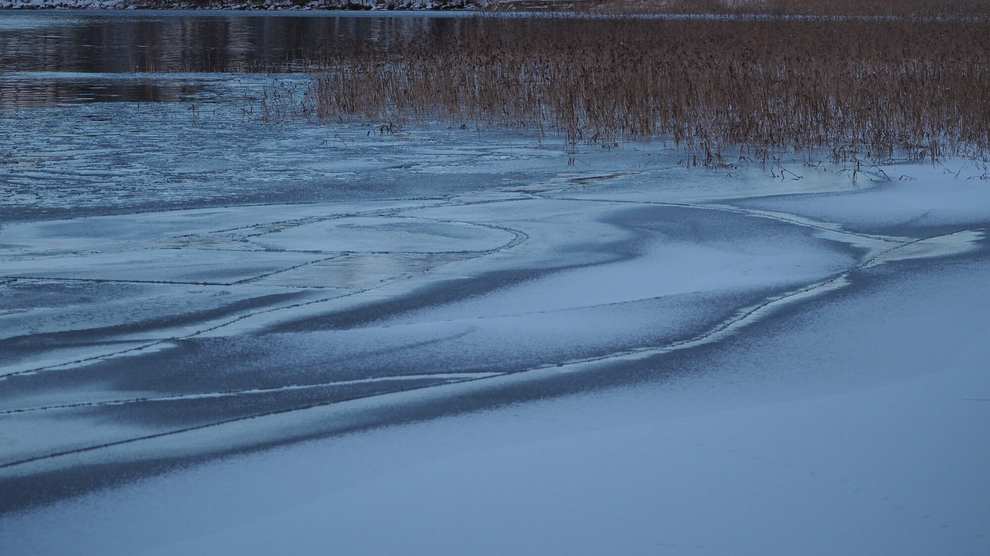 Valokuvaaja: Martti Valtonen