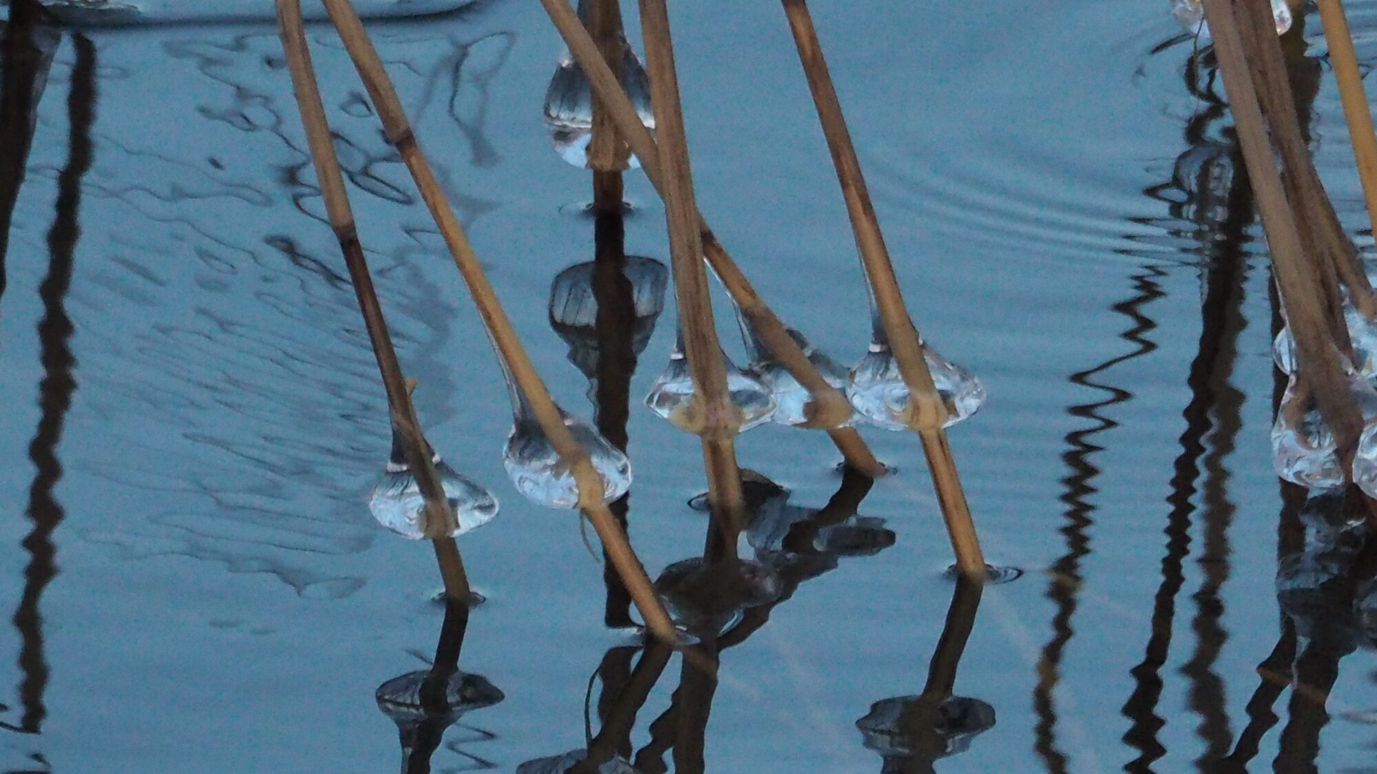 Valokuvaaja: Martti Valtonen Valokuvaaja: Martti Valtonen