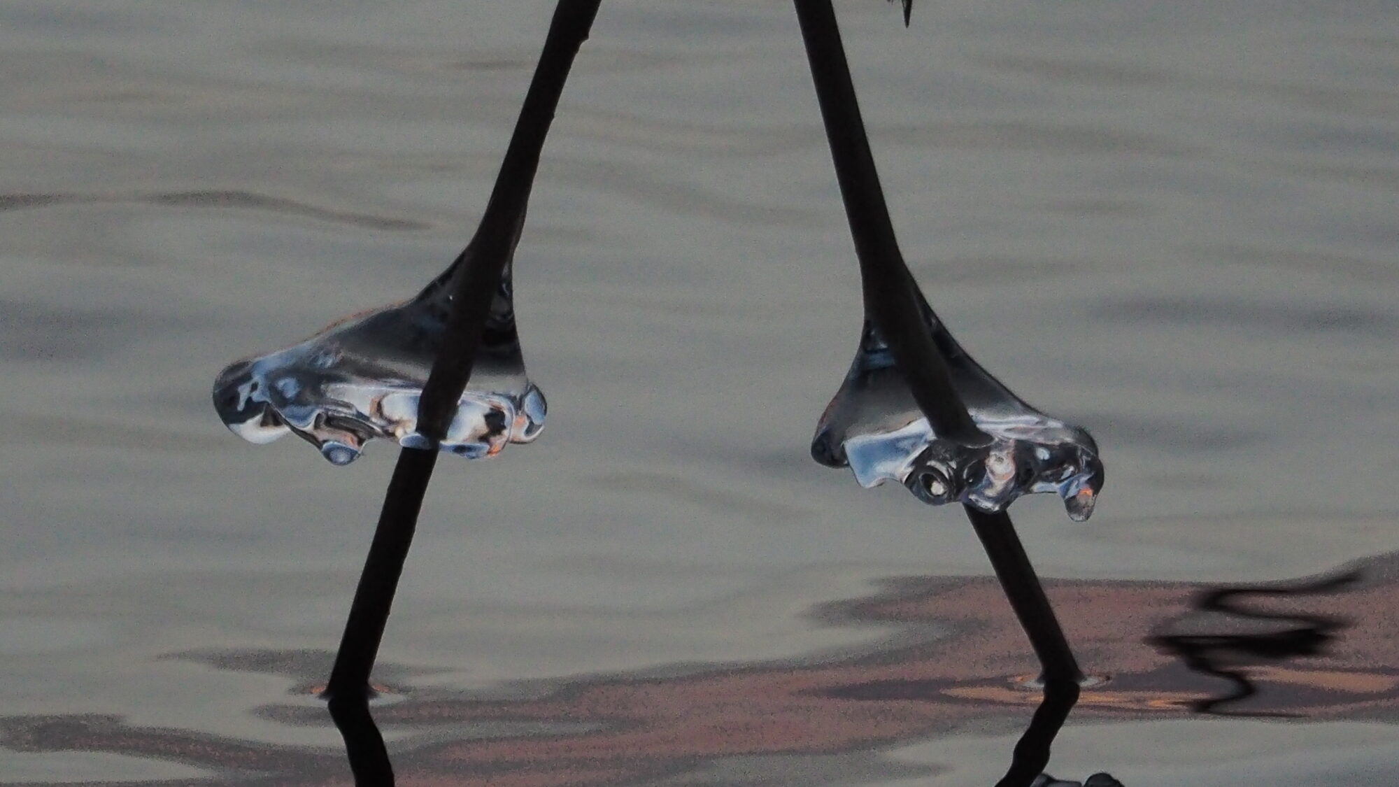 Valokuvaaja: Martti Valtonen