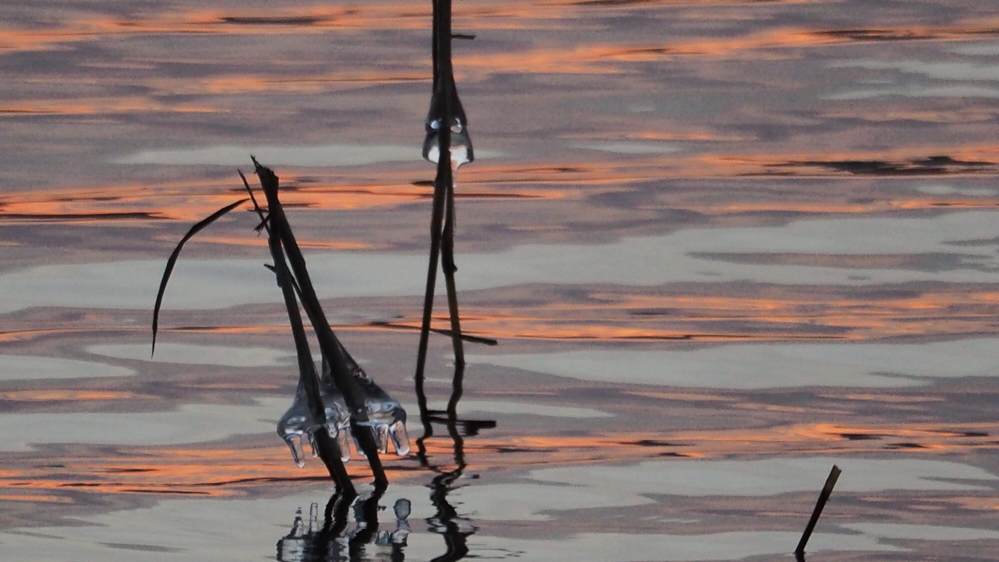 Valokuvaaja: Martti Valtonen