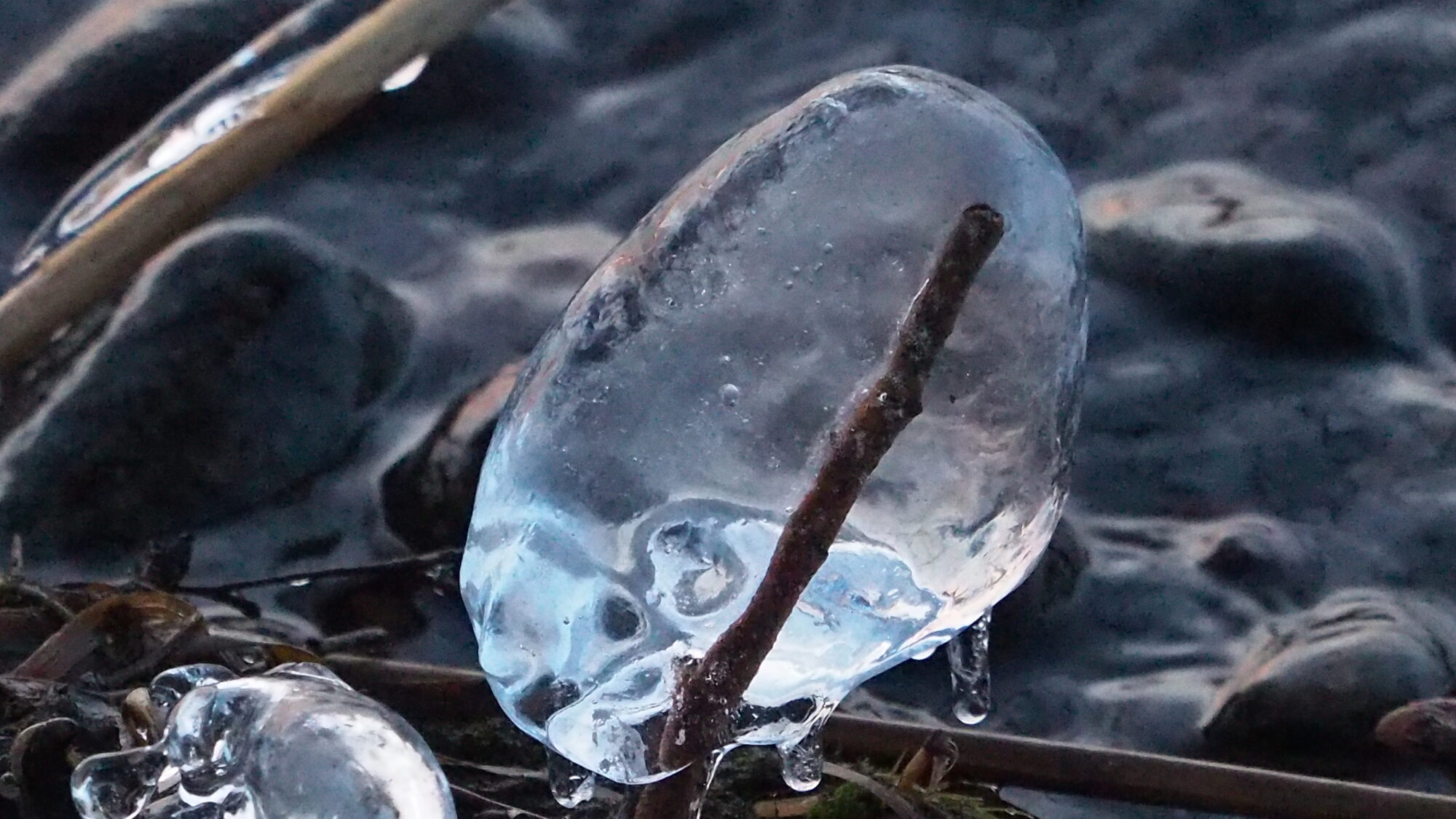 Valokuvaaja: Martti Valtonen