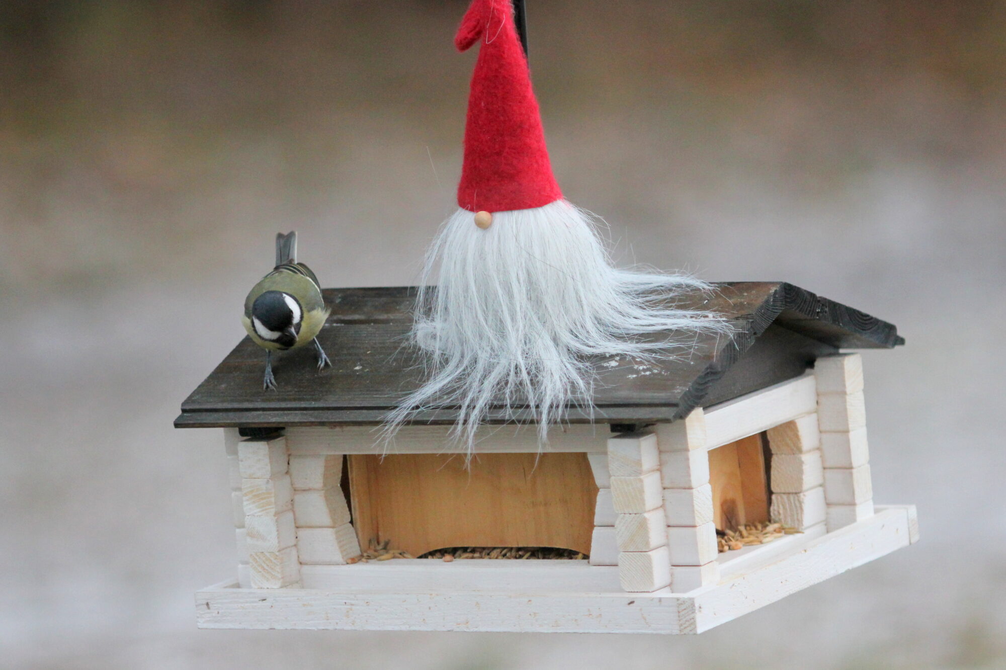 Valokuvaaja: Kaarlo Asikainen Valokuvaaja: Kaarlo Asikainen
