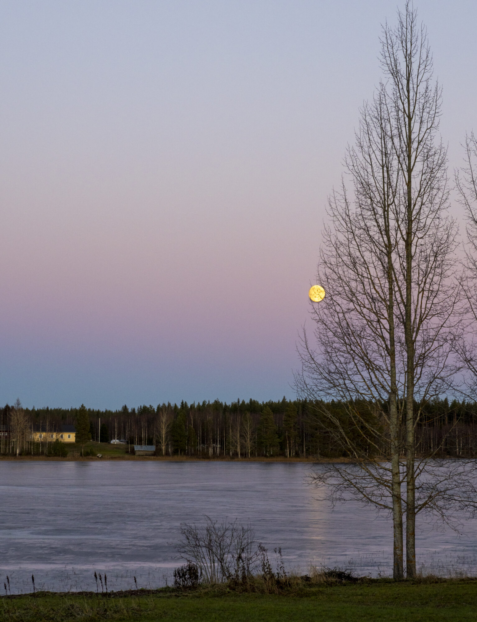 Valokuvaaja: Hannu Tikkanen Valokuvaaja: Hannu Tikkanen