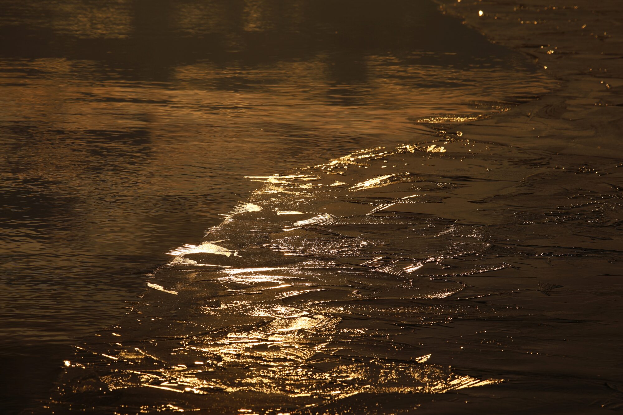 Valokuvaaja: Jaana Saarelainen