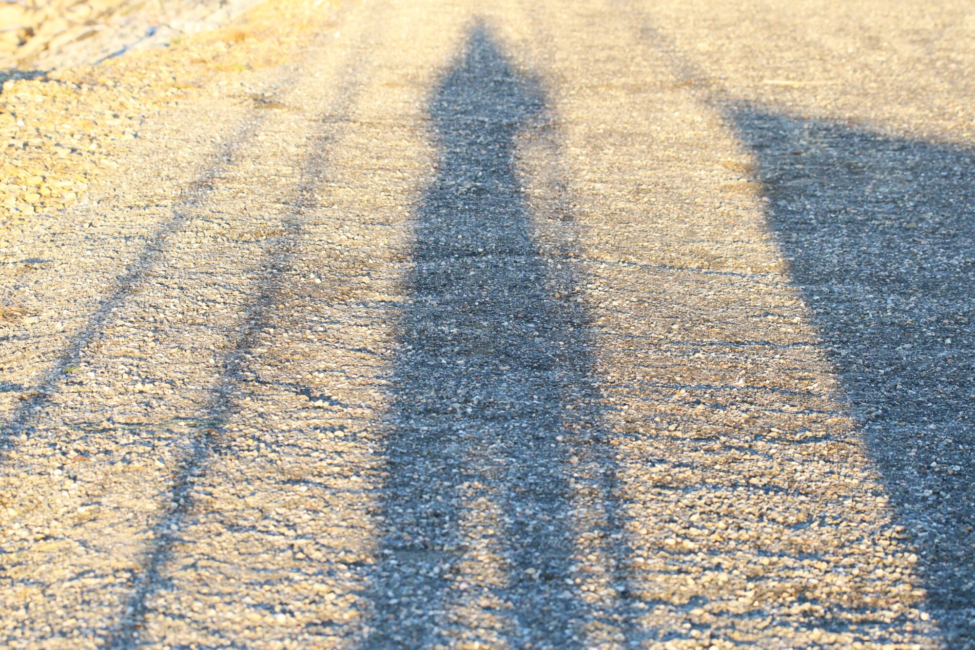 Valokuvaaja: Jaana Saarelainen