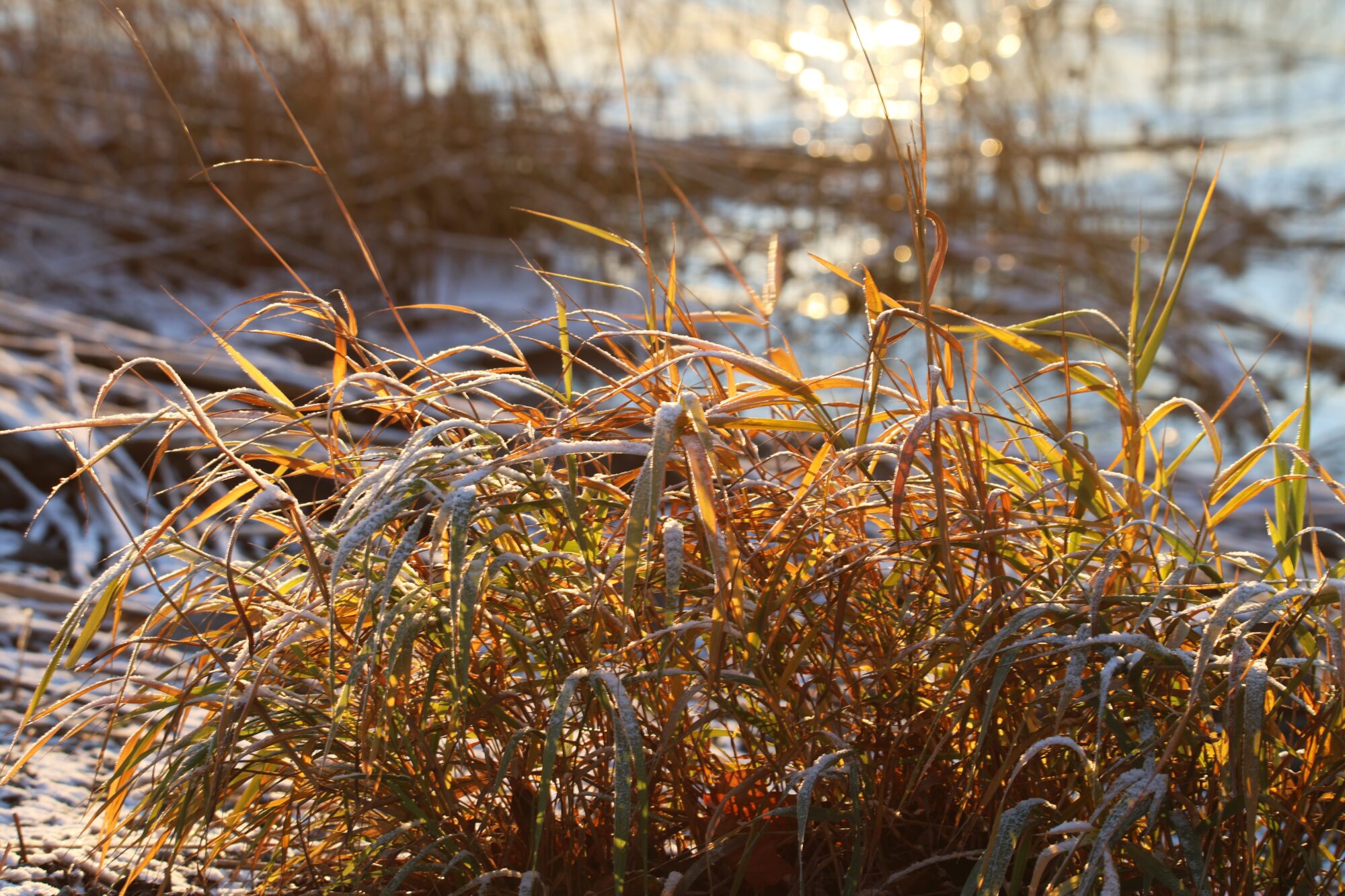 Valokuvaaja: Jaana Saarelainen