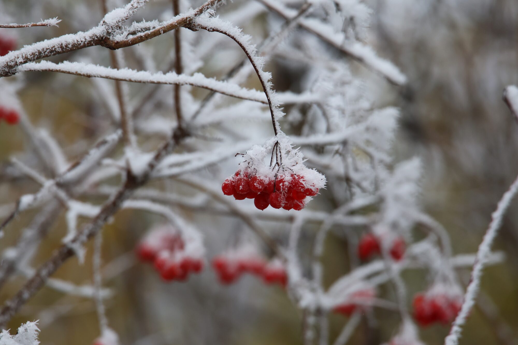 Valokuvaaja: Jaana Saarelainen Valokuvaaja: Jaana Saarelainen