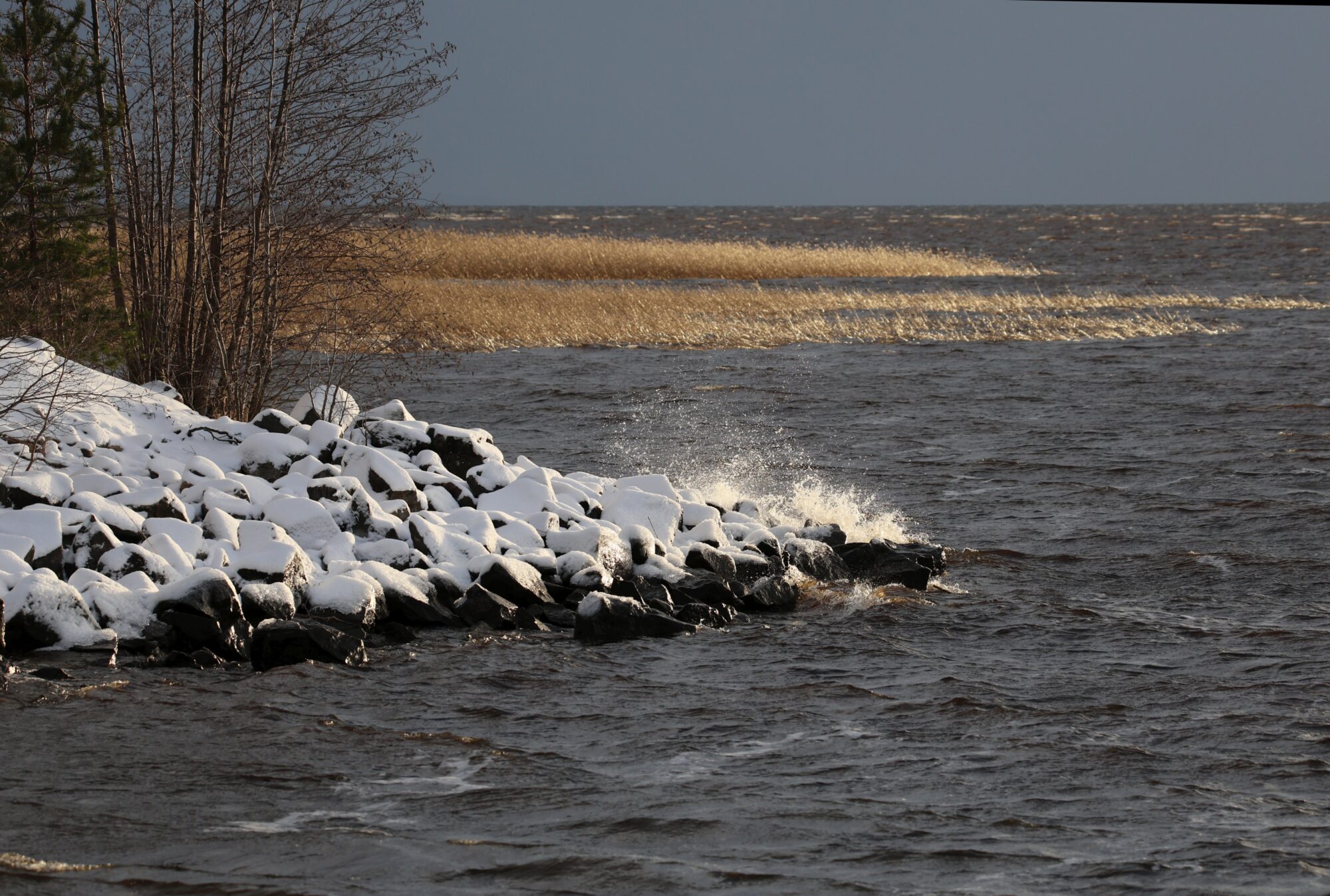 Valokuvaaja: Jaana Saarelainen