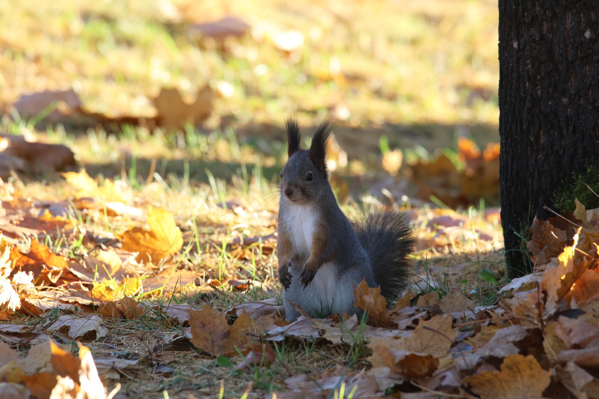 Valokuvaaja: Jaana Saarelainen
