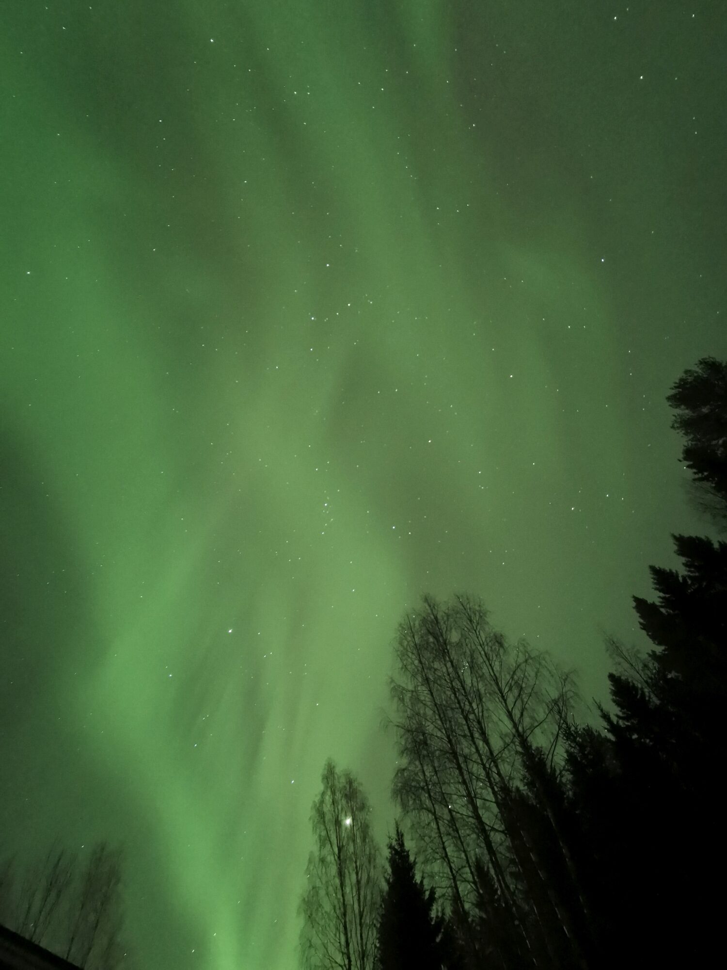 Valokuvaaja: Jaana Saarelainen Valokuvaaja: Jaana Saarelainen