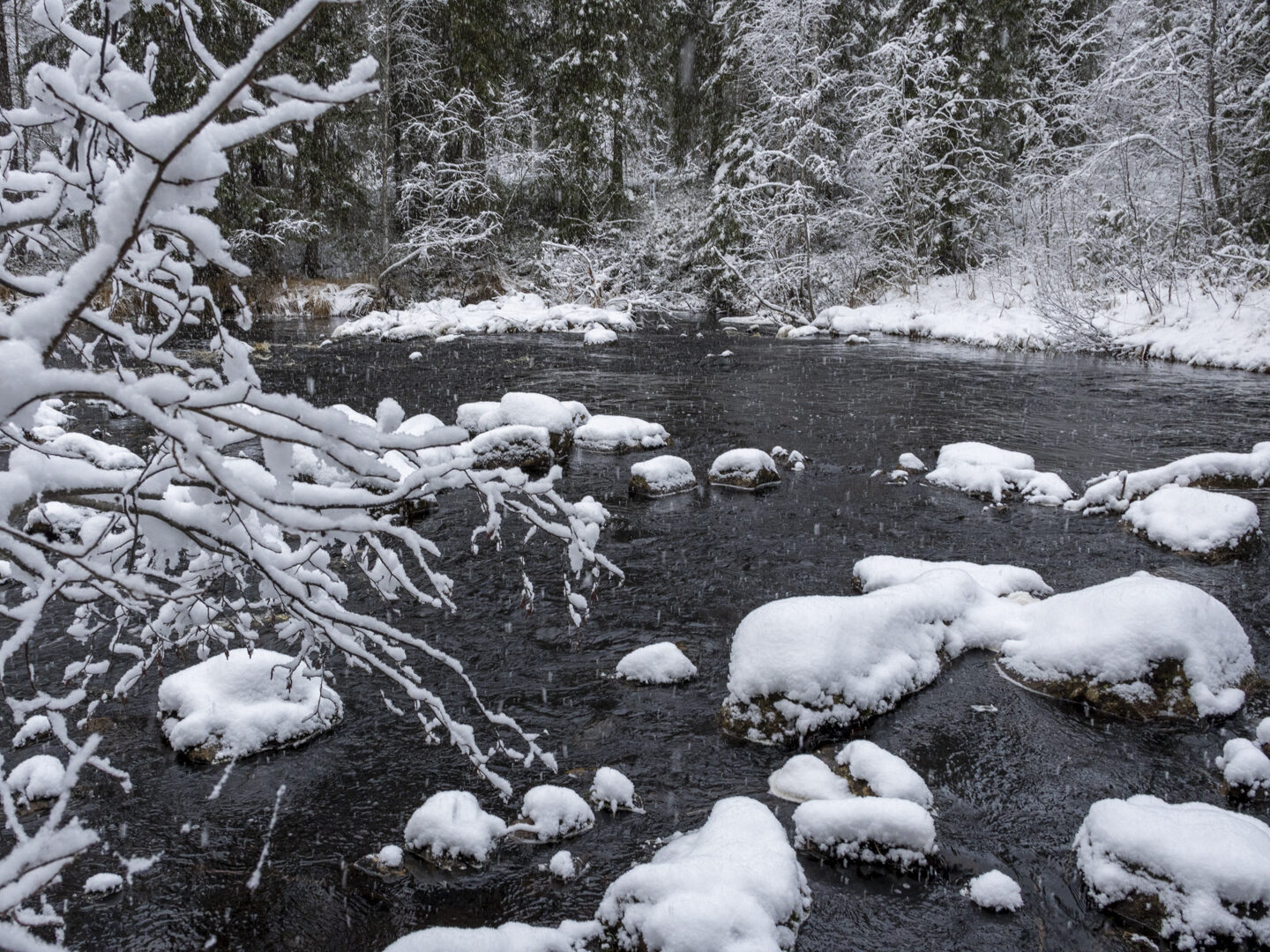 Valokuvaaja: Hannu Tikkanen