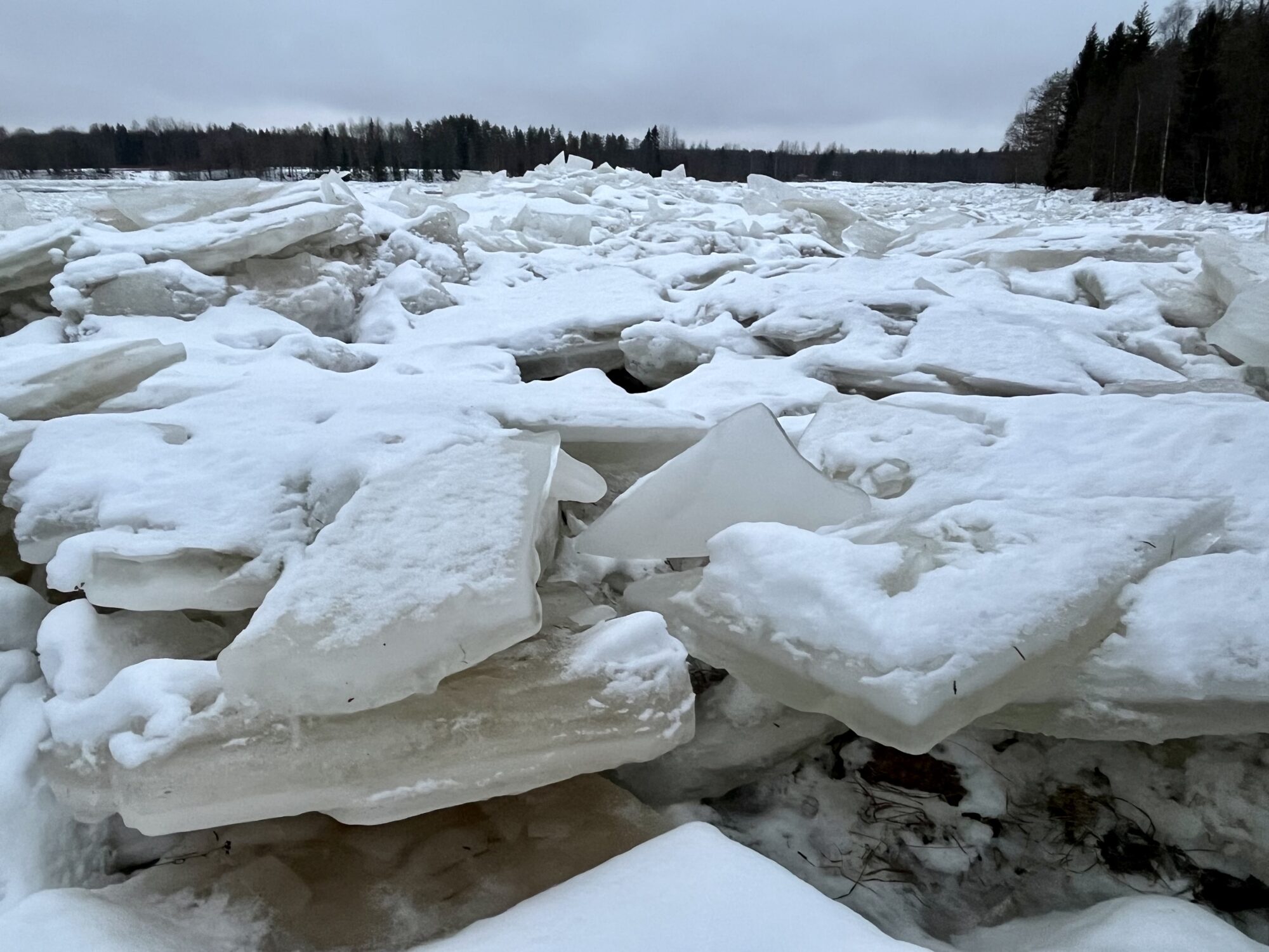 Valokuvaaja: Tuukka Pahtamaa Valokuvaaja: Tuukka Pahtamaa